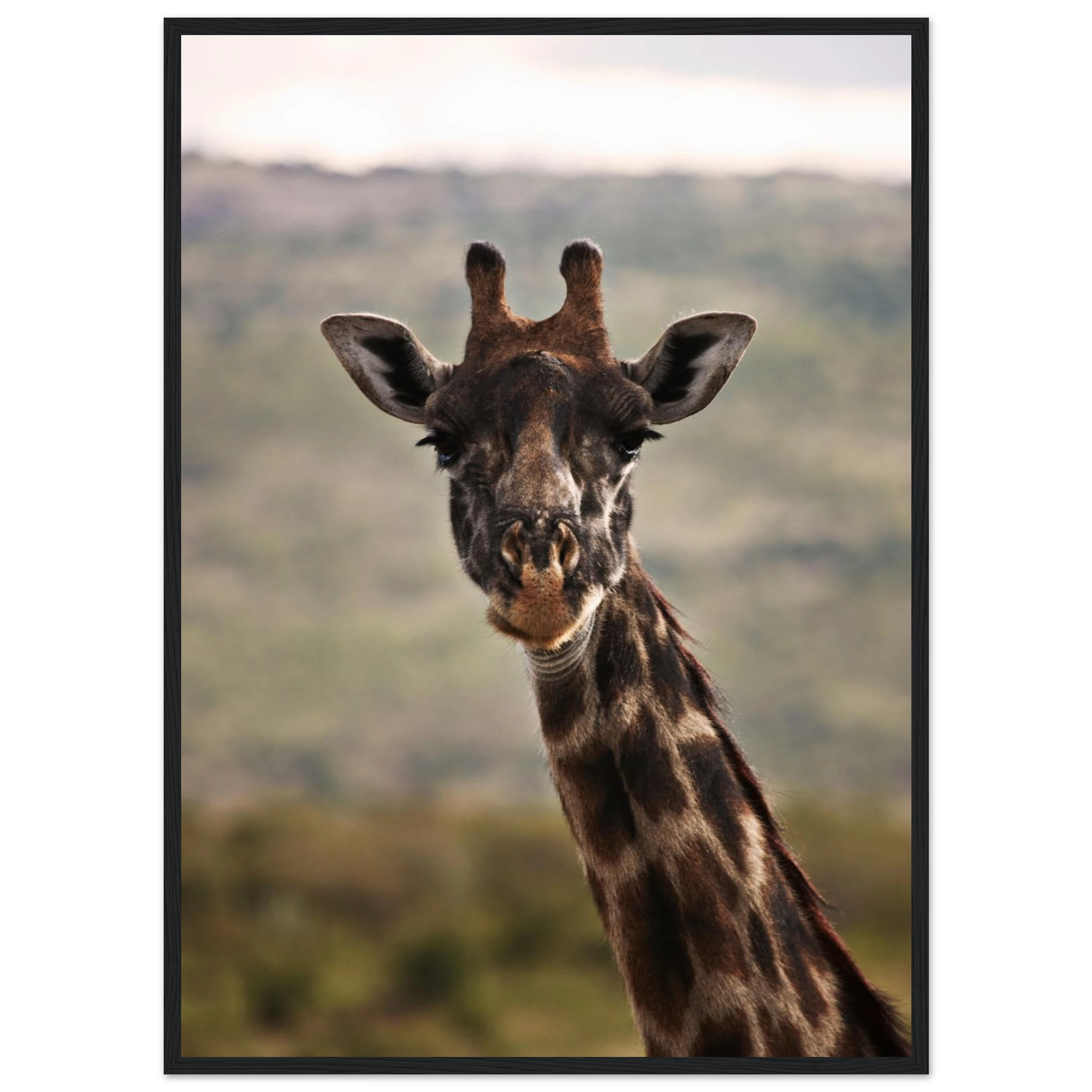 6a436fc7-30af-4482-a886-9599bfef916d