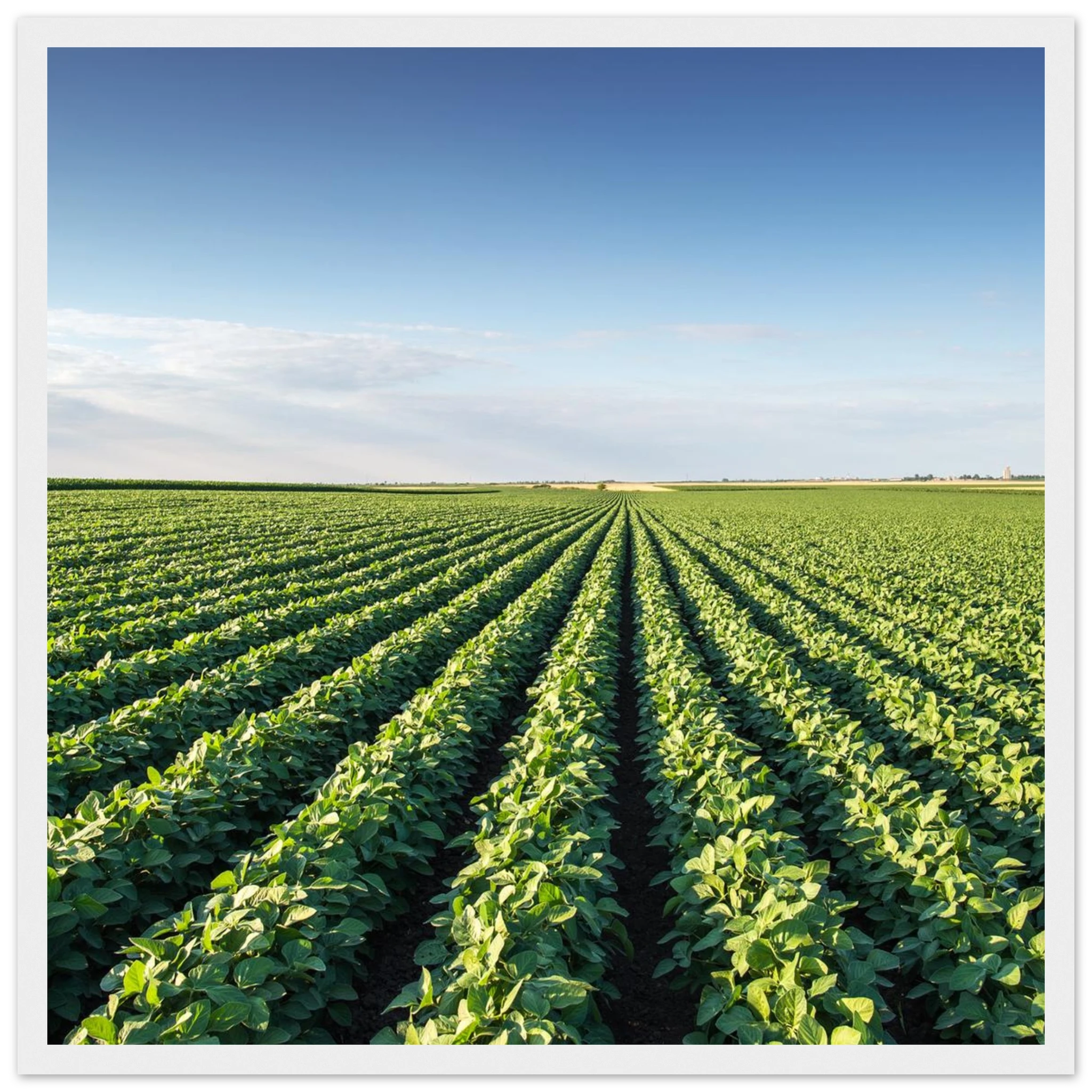 6a64f36f-a69c-4e41-94ad-76b3efde1dea