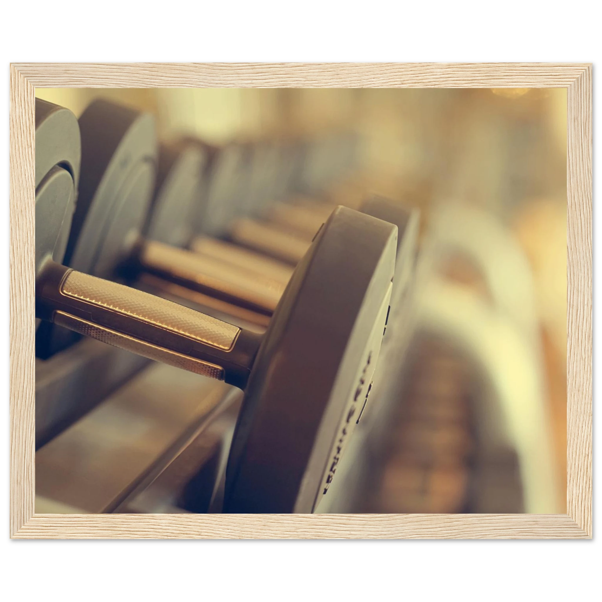 6a8184b0-2f76-4429-945a-e74124790e55