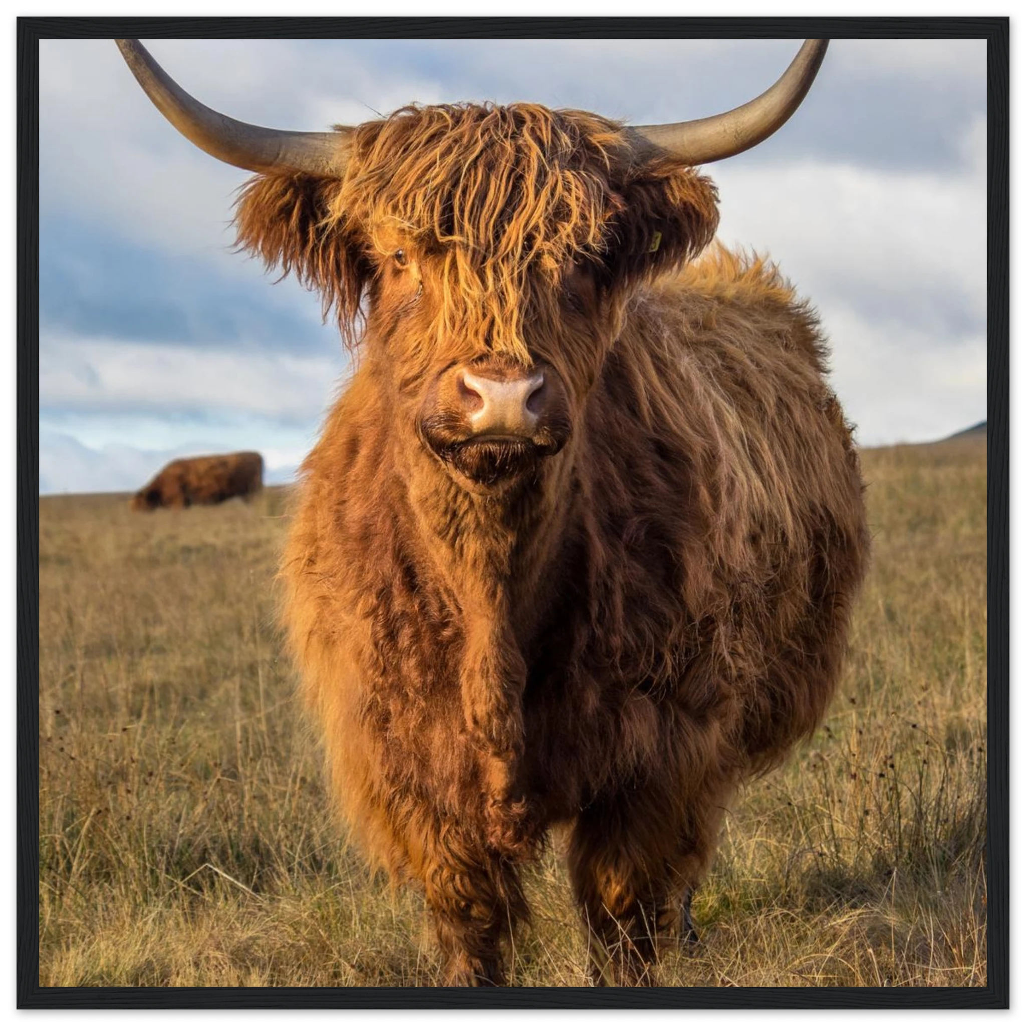 6a869075-b78a-4159-b49e-5f88e8661d07