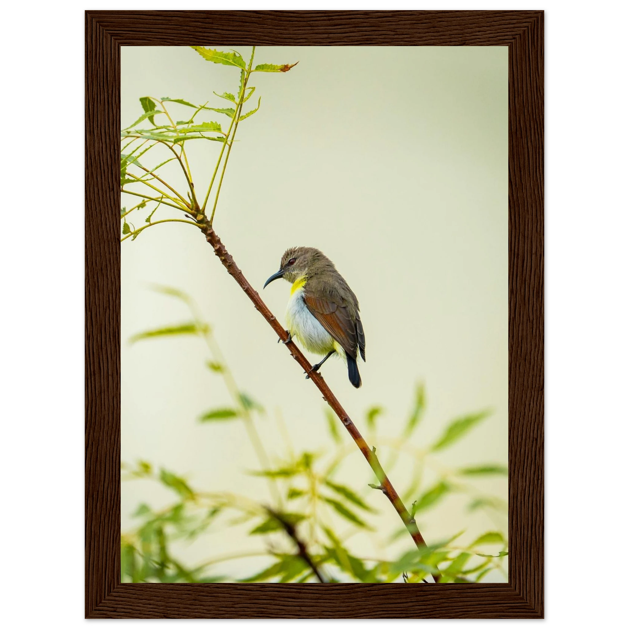 6aaf3818-88ff-4edb-b26f-0eeadc882703