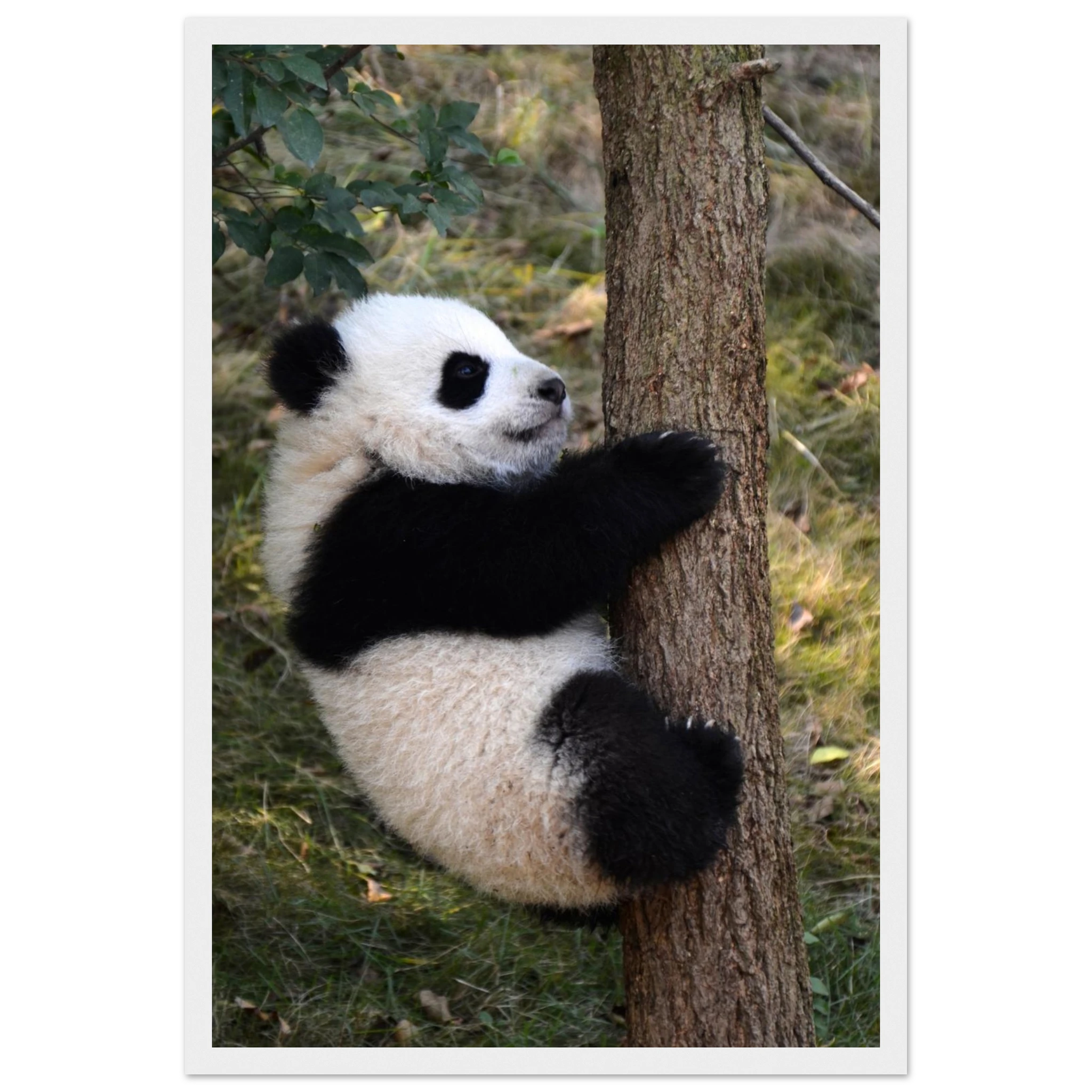 6adc49f5-1e04-4441-bd48-e2165cef9c35