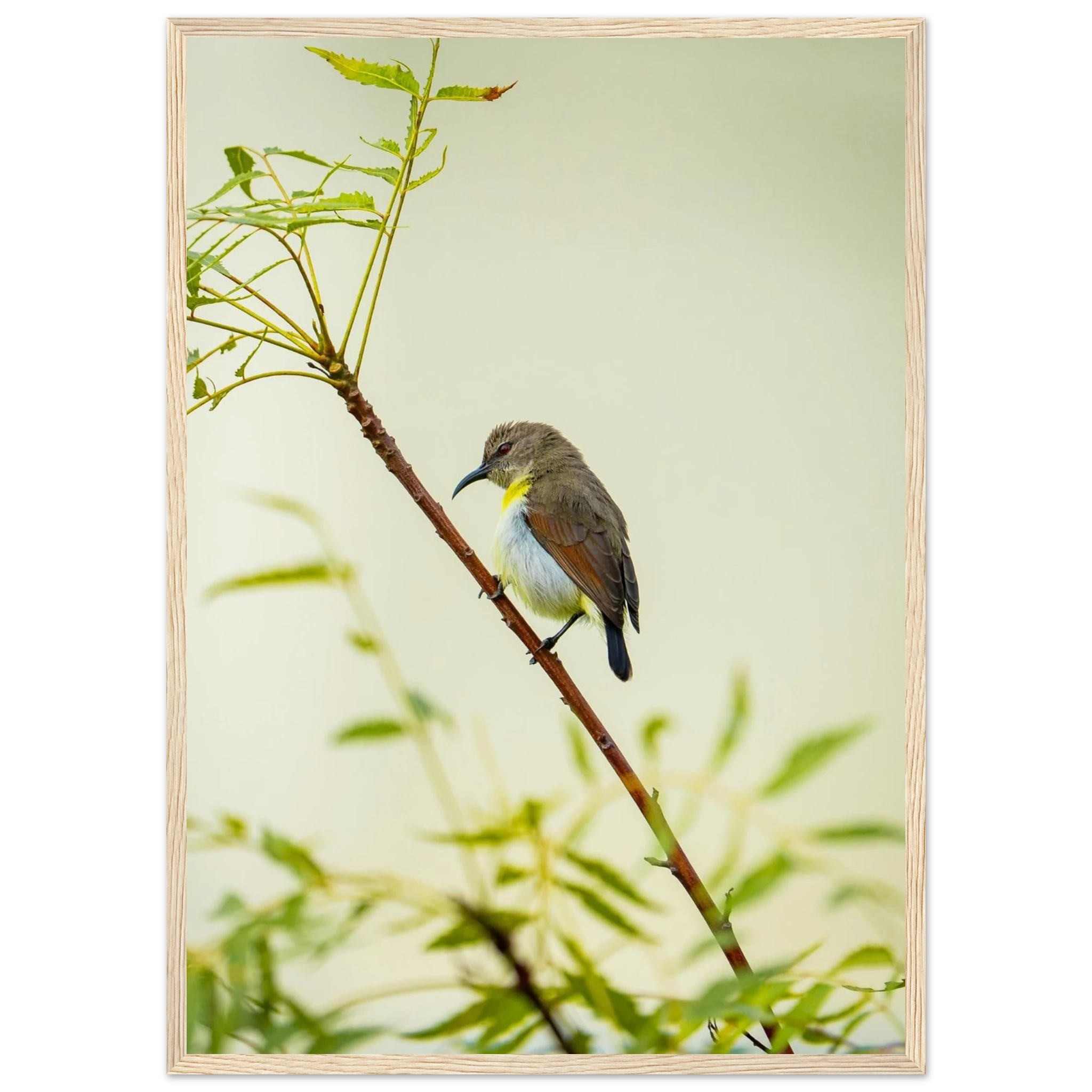 6aeadb55-d2d8-4fa9-b54e-3f137ed850db