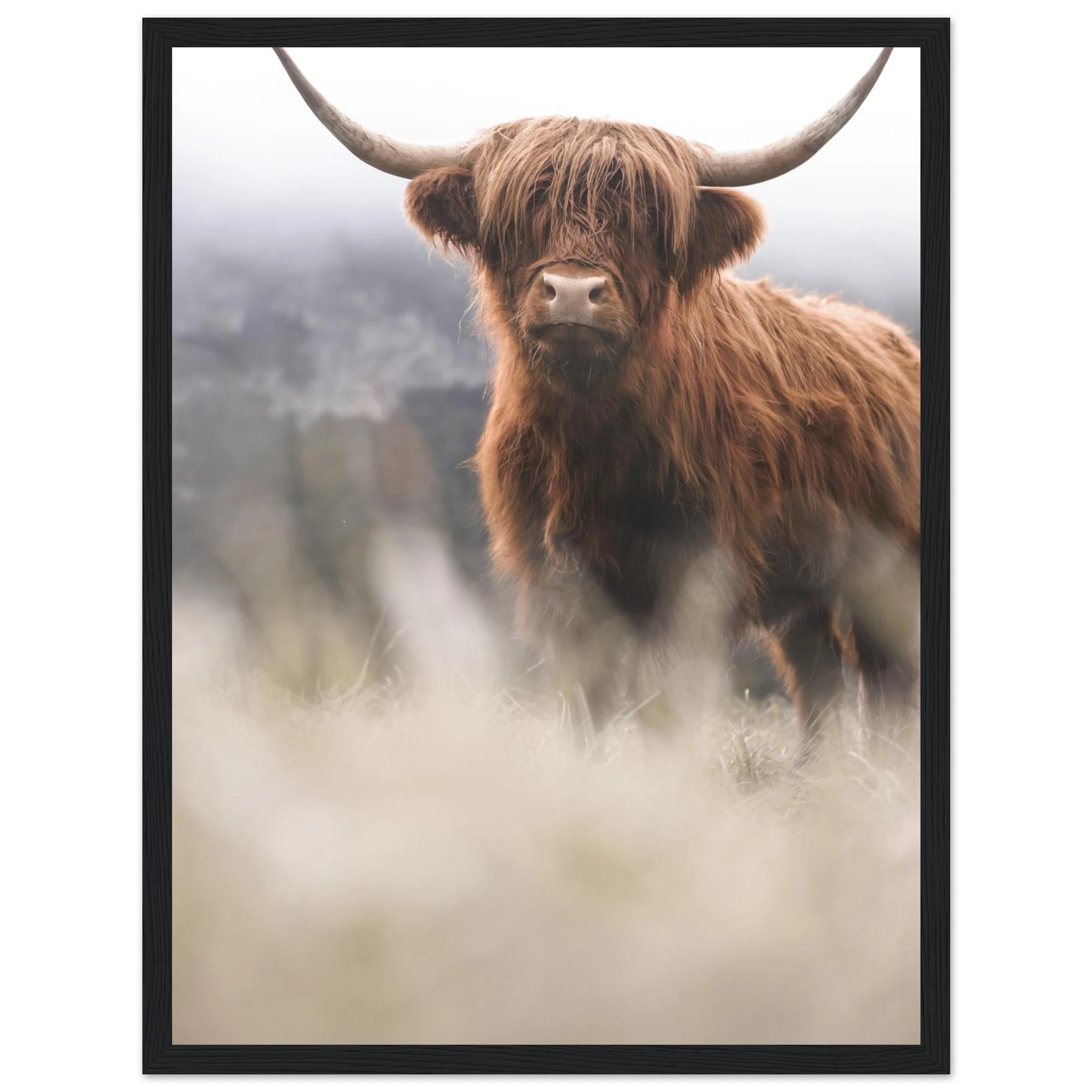 6b354eff-7cbd-4ac0-8651-cc1c14c8bf04