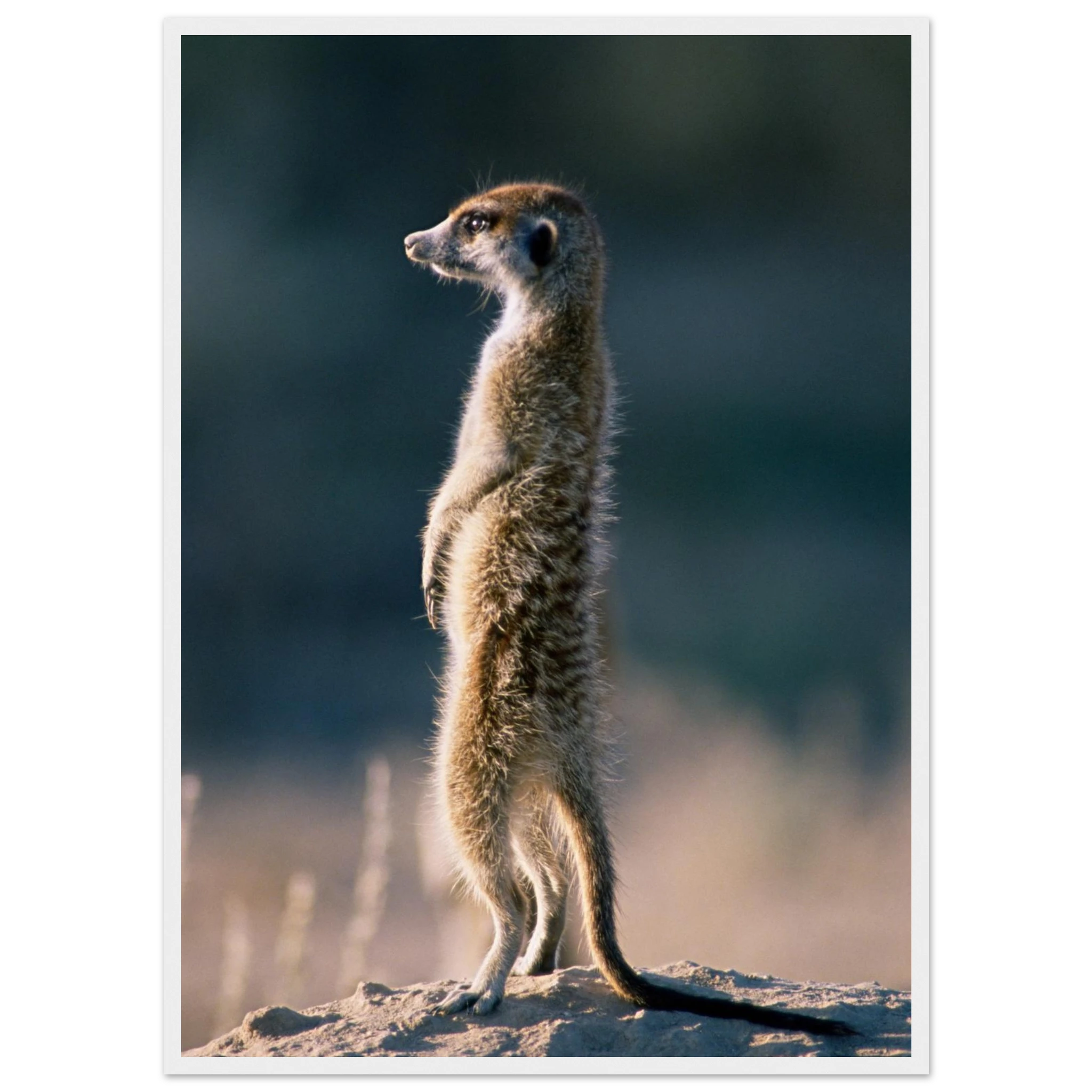 6b4f187f-3e15-4389-998d-b290b3d6cded