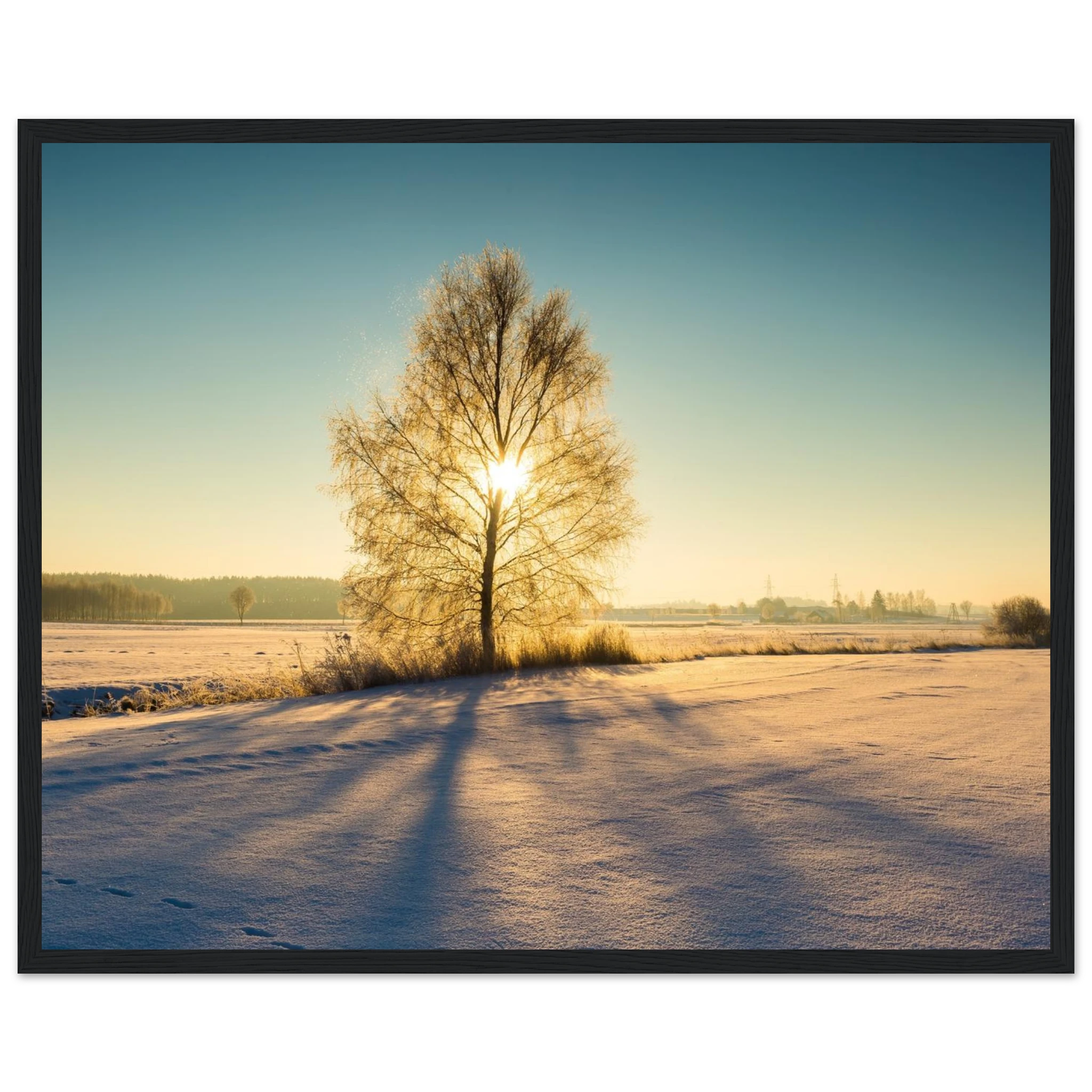 6b999a74-d686-42ca-9447-4d8fc5182085