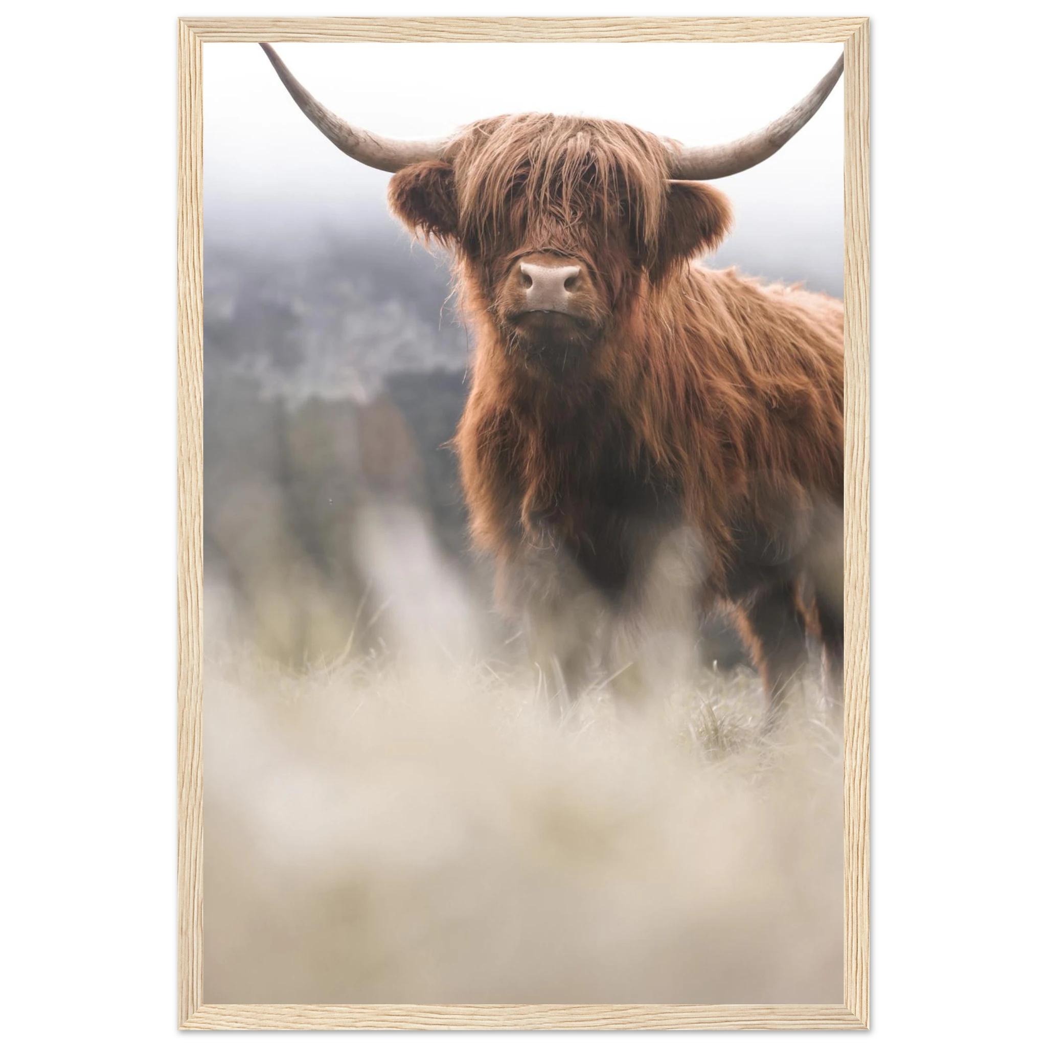 6bac751f-22c1-4fcc-9888-10ee38e69d0f