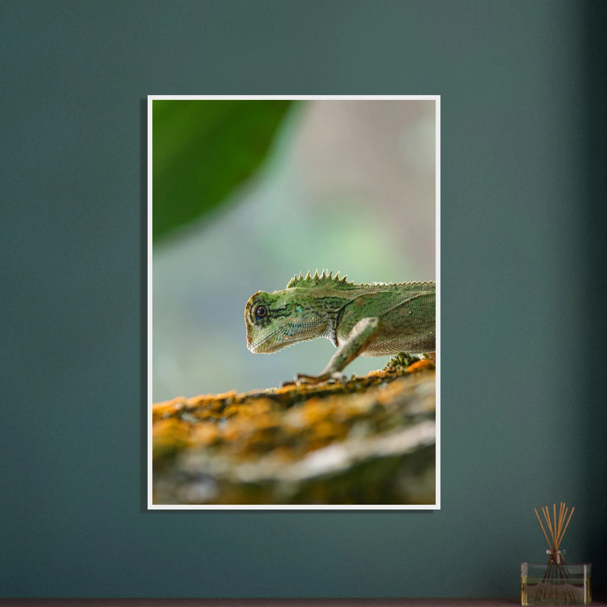 6bacbe2b-e750-473f-b907-4bca26c0e2d4