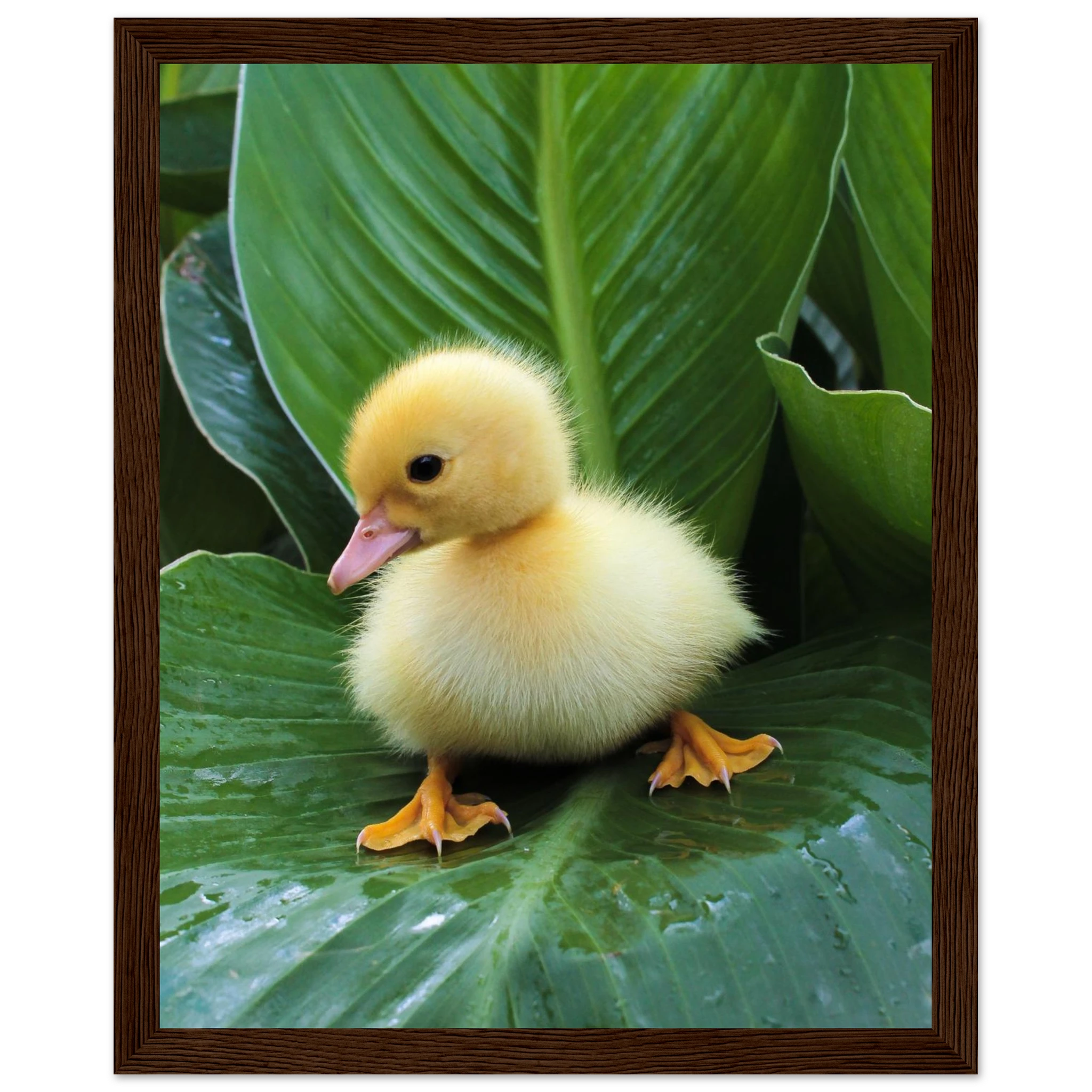 6bd627da-0548-41e2-8928-56574d1b881d