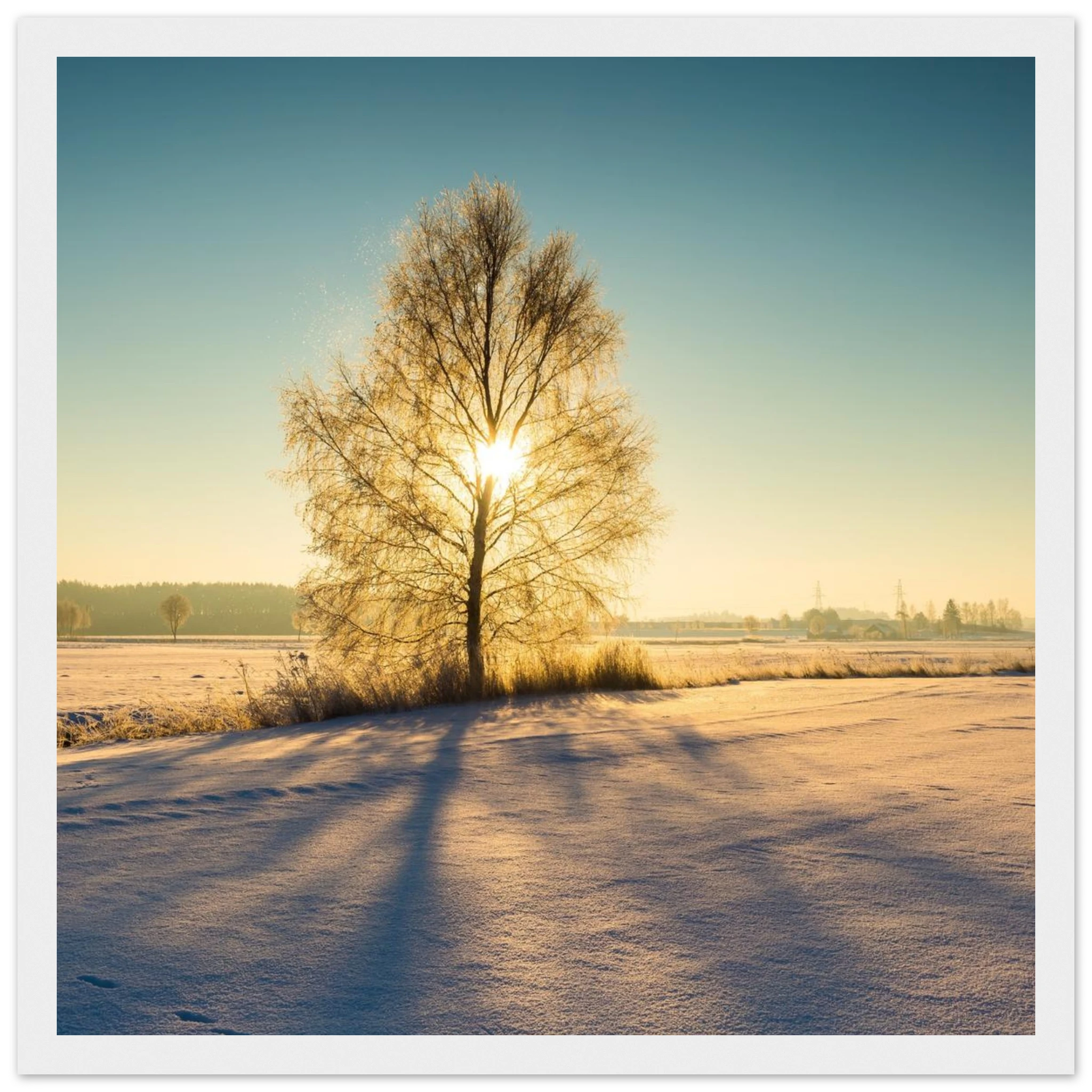 6c16eb9b-d427-440f-bb36-e1df0c9e469f