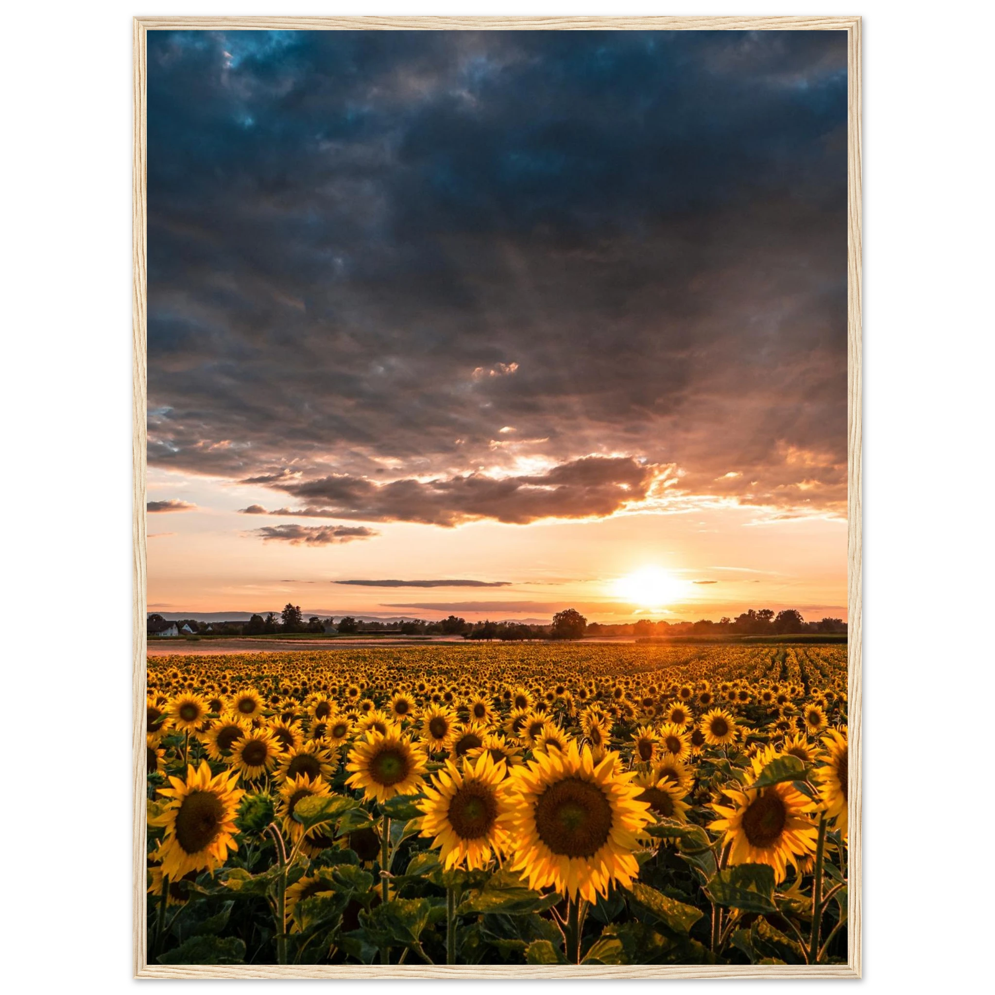 6c200733-a7ad-4325-be56-b56d68105c70