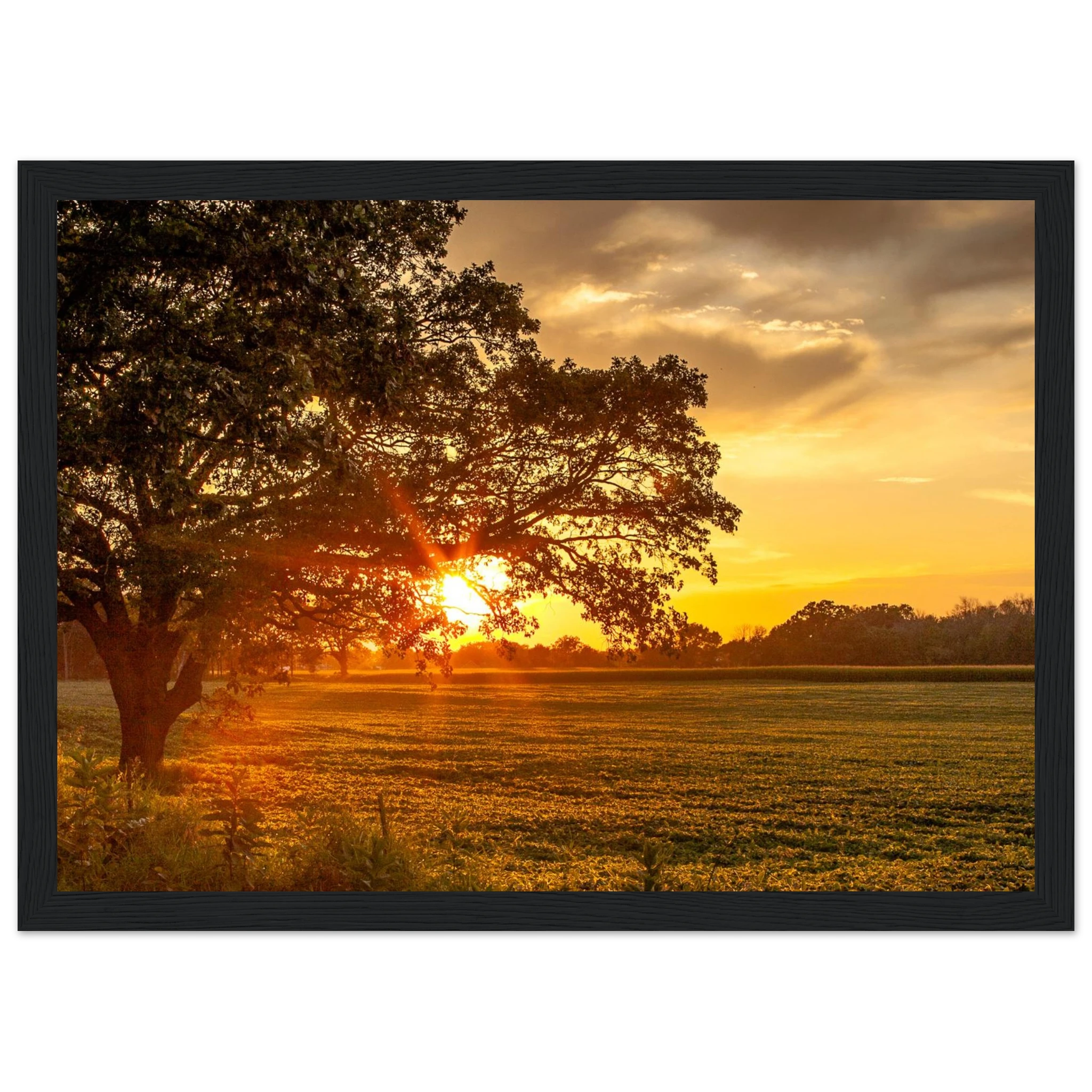 6c27d464-860b-4be9-adab-2dfef4c6b35f