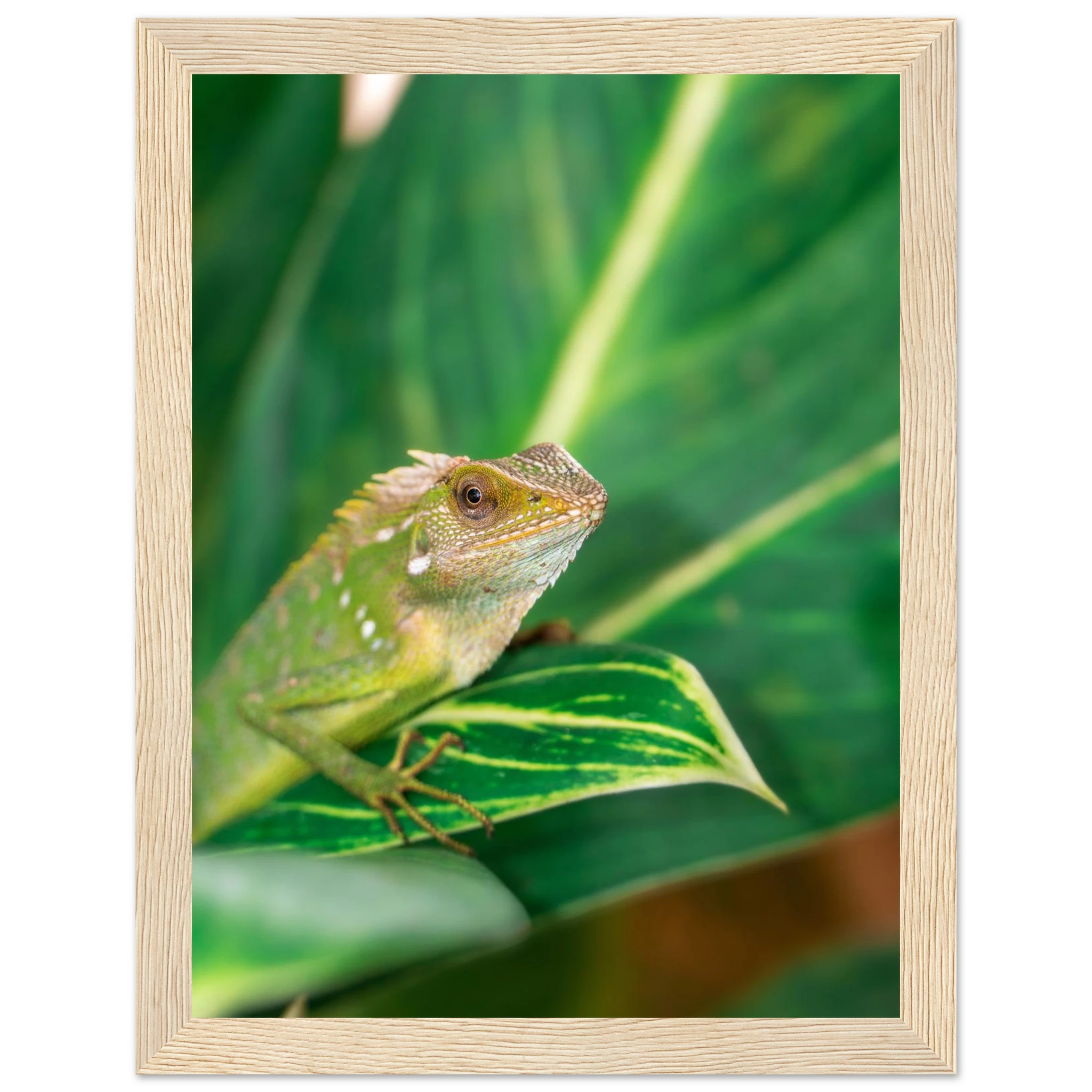 6c3c5fe1-9227-422f-8427-34697a8559d0