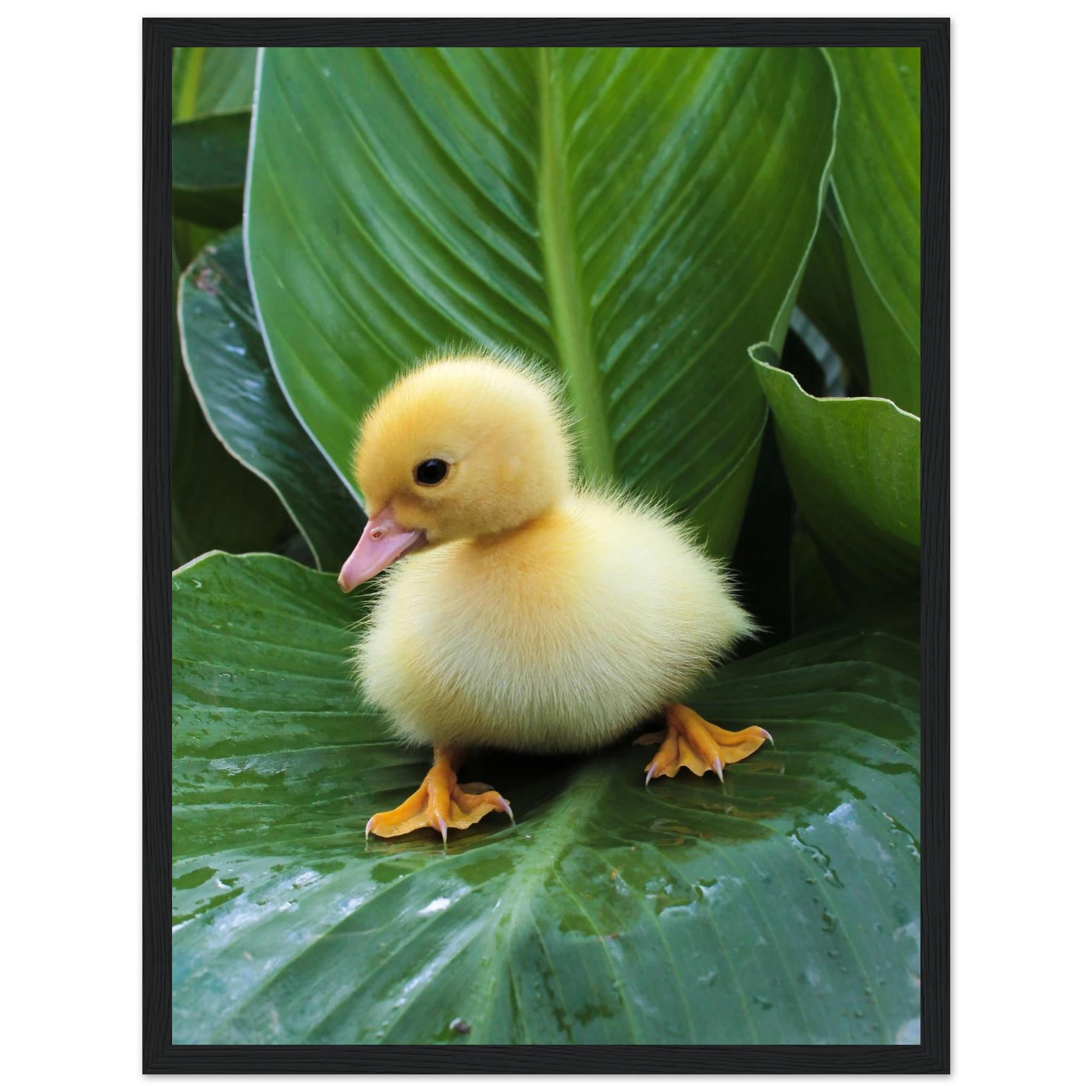 6c485200-80f6-4779-9215-85d277995e1e