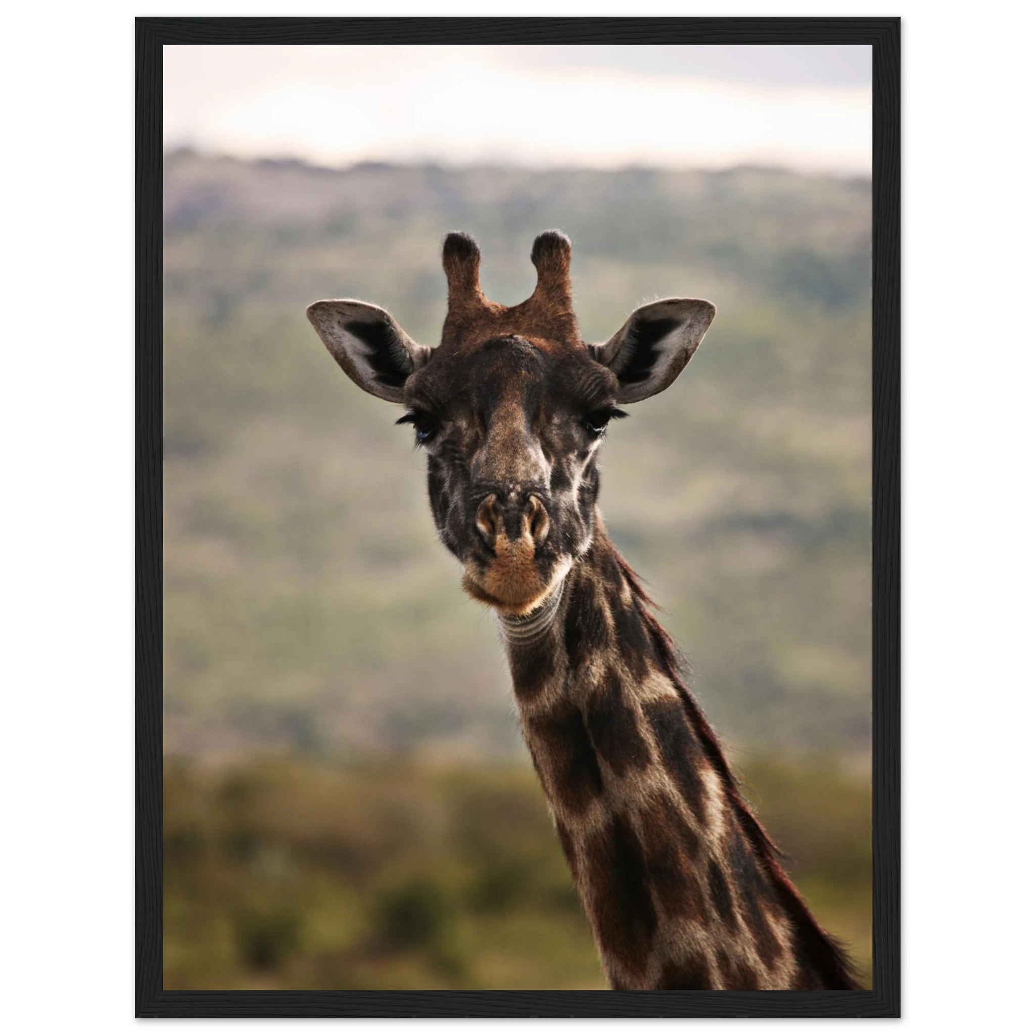 6c53f775-24e5-4f8a-8de7-d8e626d9deab