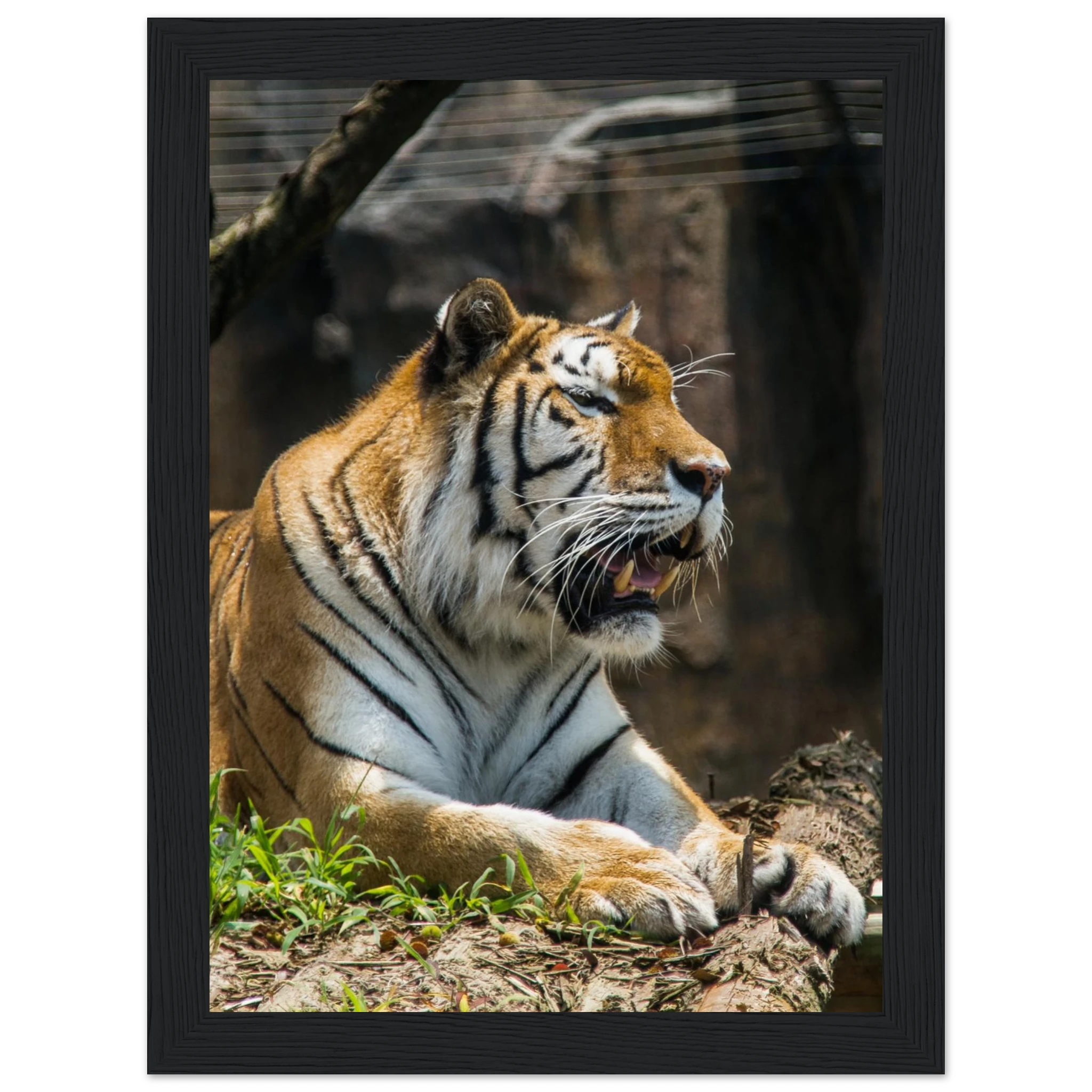 6c55a035-976d-4c2e-b135-e5e26fc78e97