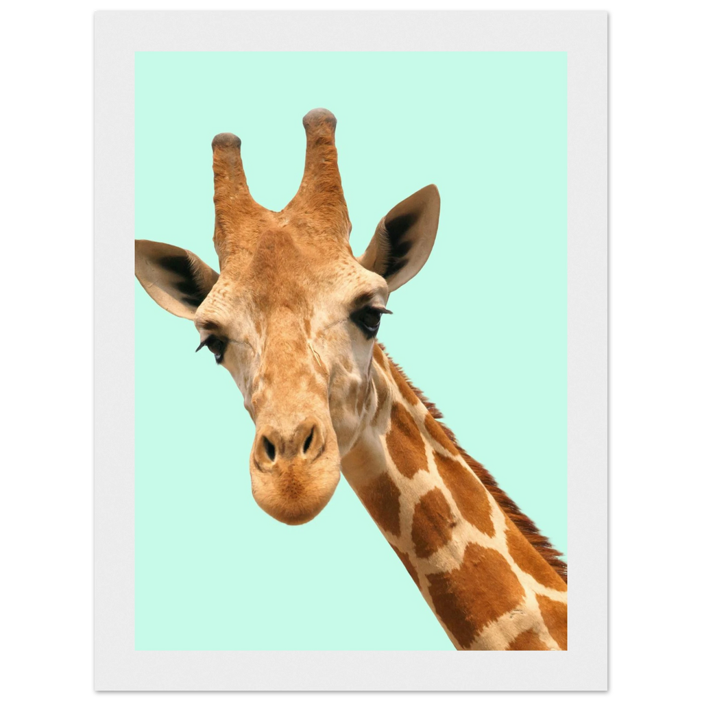 6c8b80e0-a820-4e10-96c3-a9803766289b