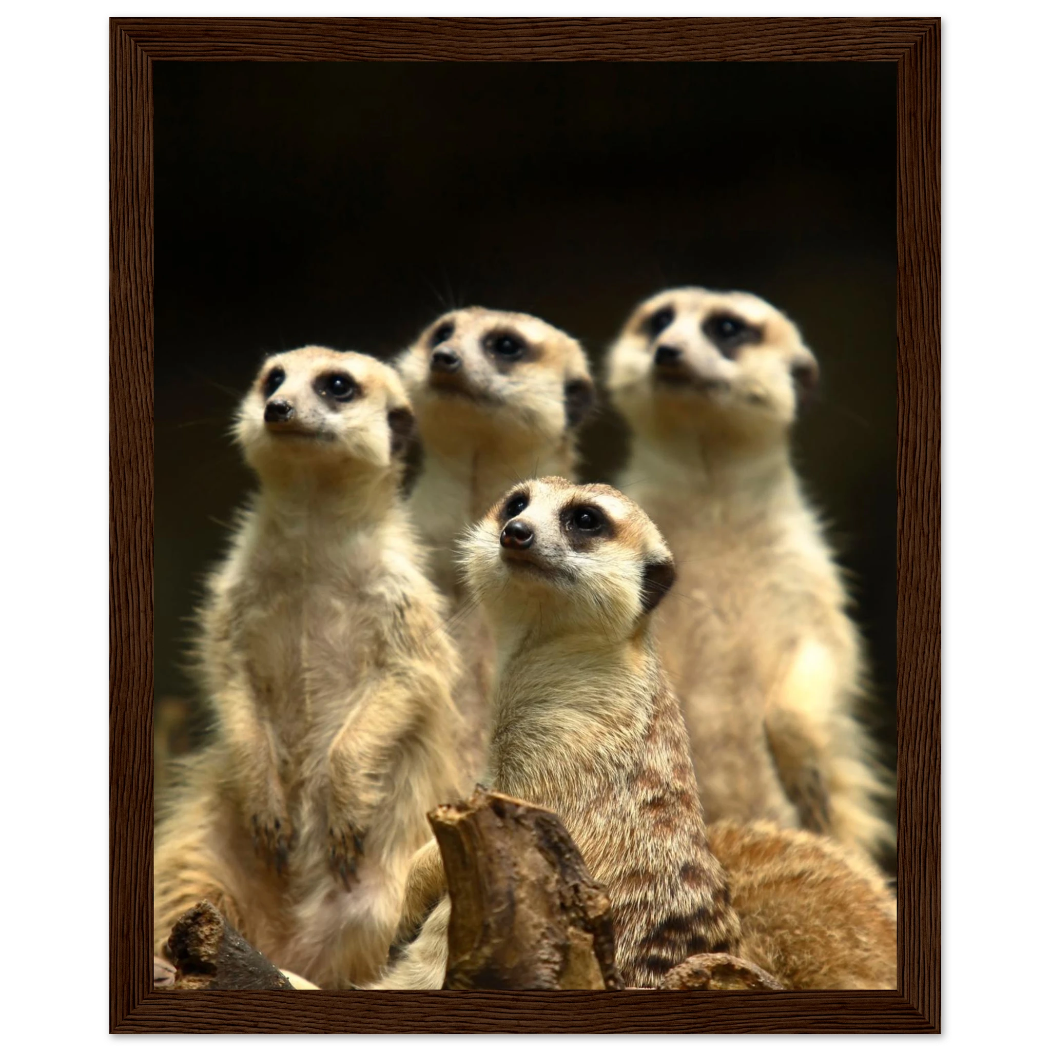 6cb5f93e-5357-4560-9041-1abff7e660d8