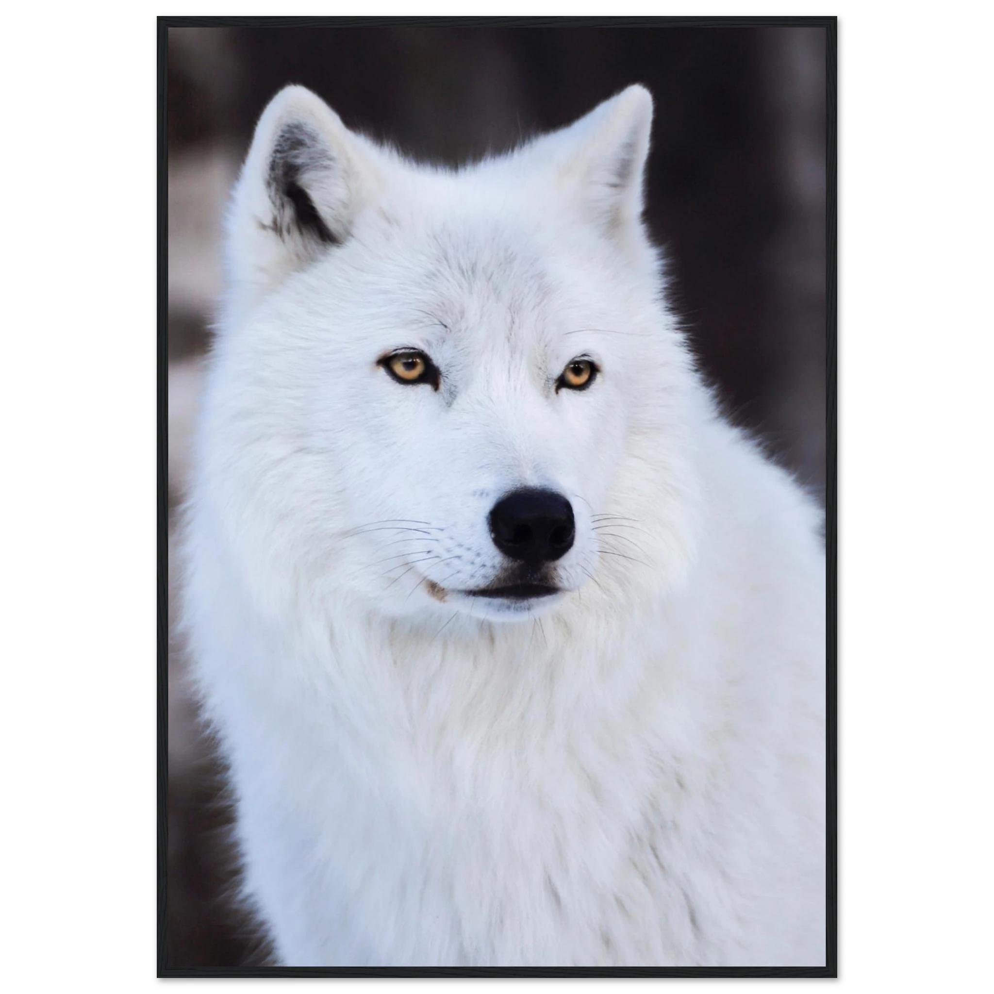 6cc64896-618c-47d8-9377-e0ef6b04be34