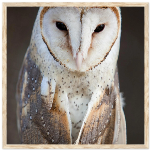 6ce5a4ff-c17f-4a84-90a5-ea76a5983ec1