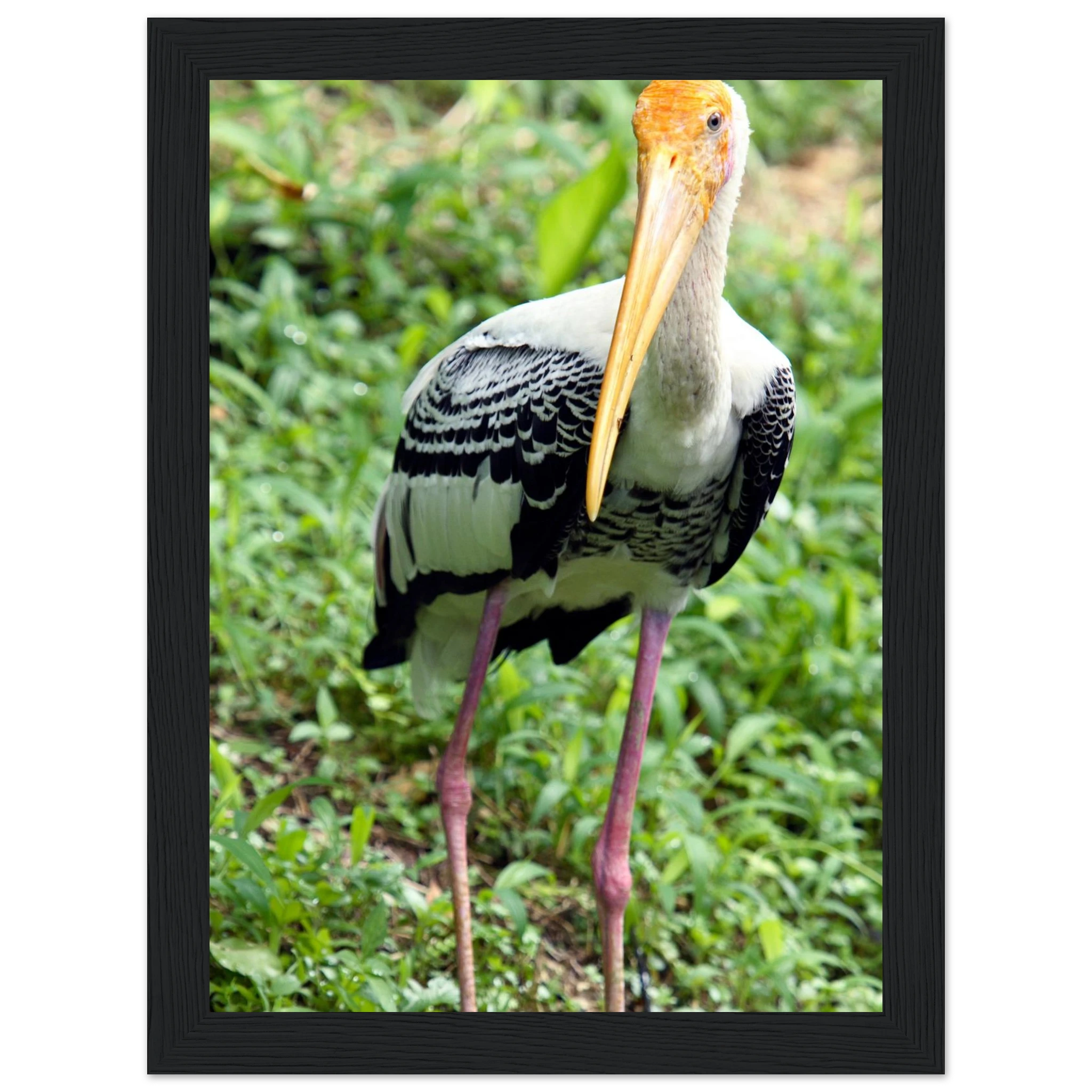 6cf0bd1d-3d3e-466b-8ddd-108b2257a66e