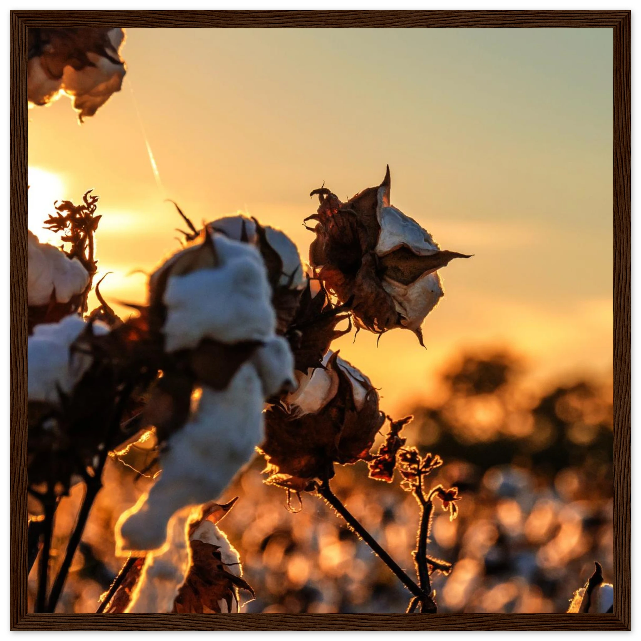 6cf2abde-a041-47b7-8b6d-db4ee70658b1