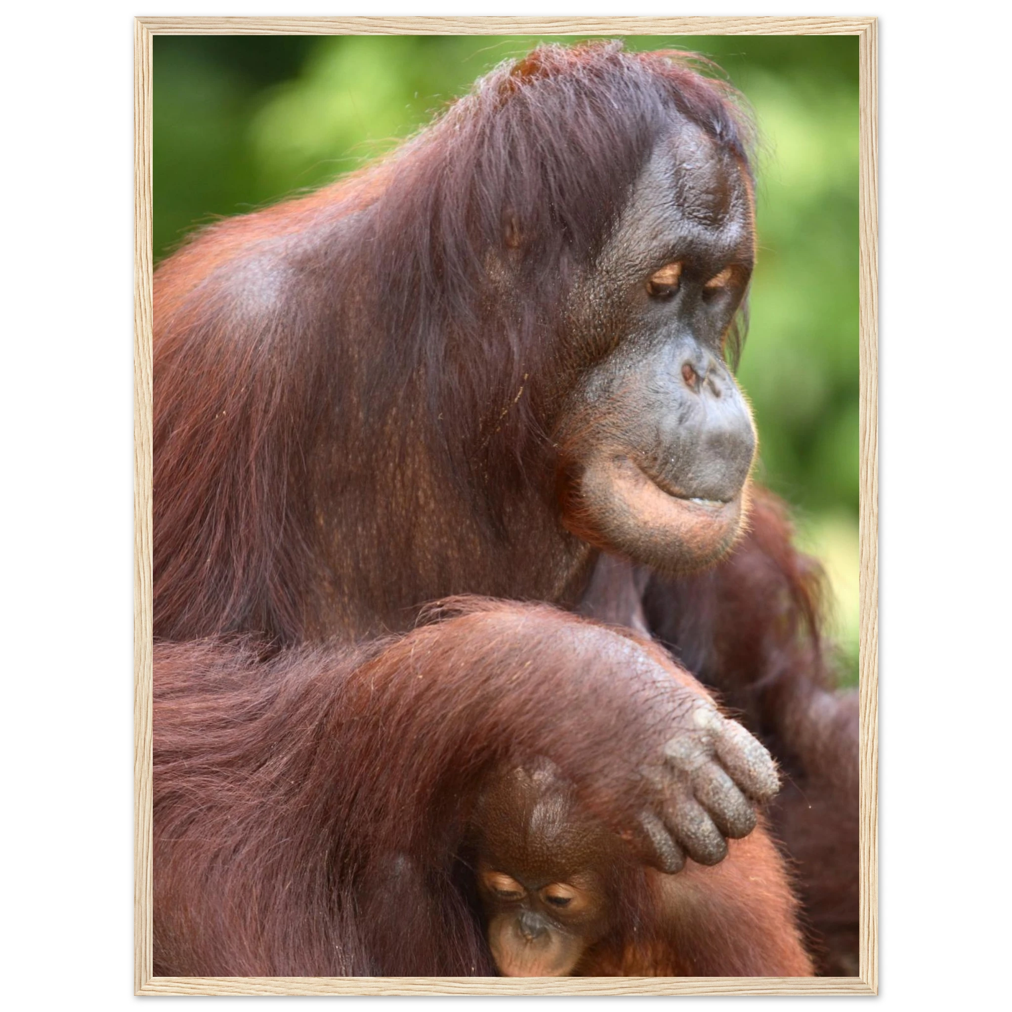 6d0020ba-2a8c-41ca-8419-6d62e9d11809