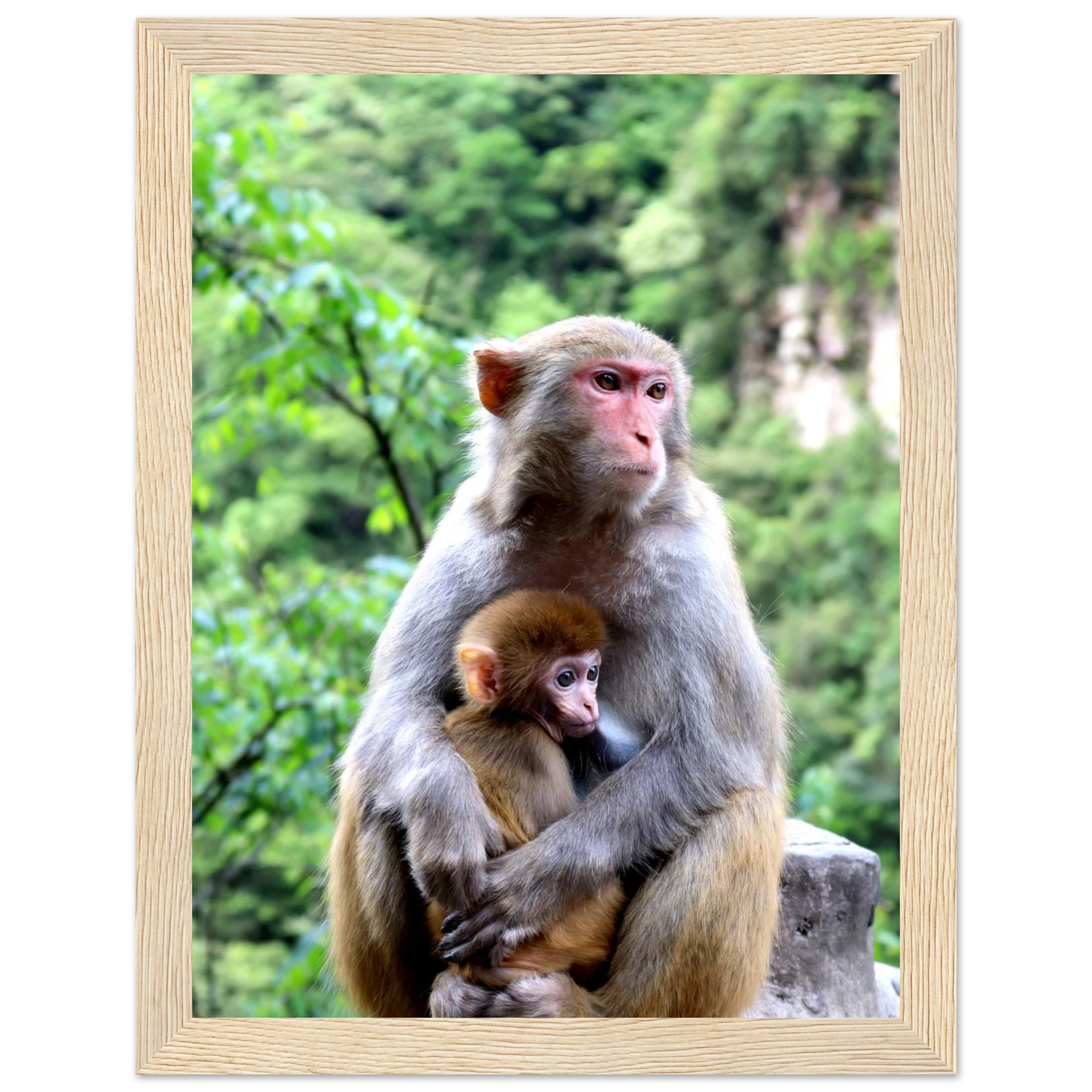 6d02387a-6430-44d9-8923-13b9b918ba01