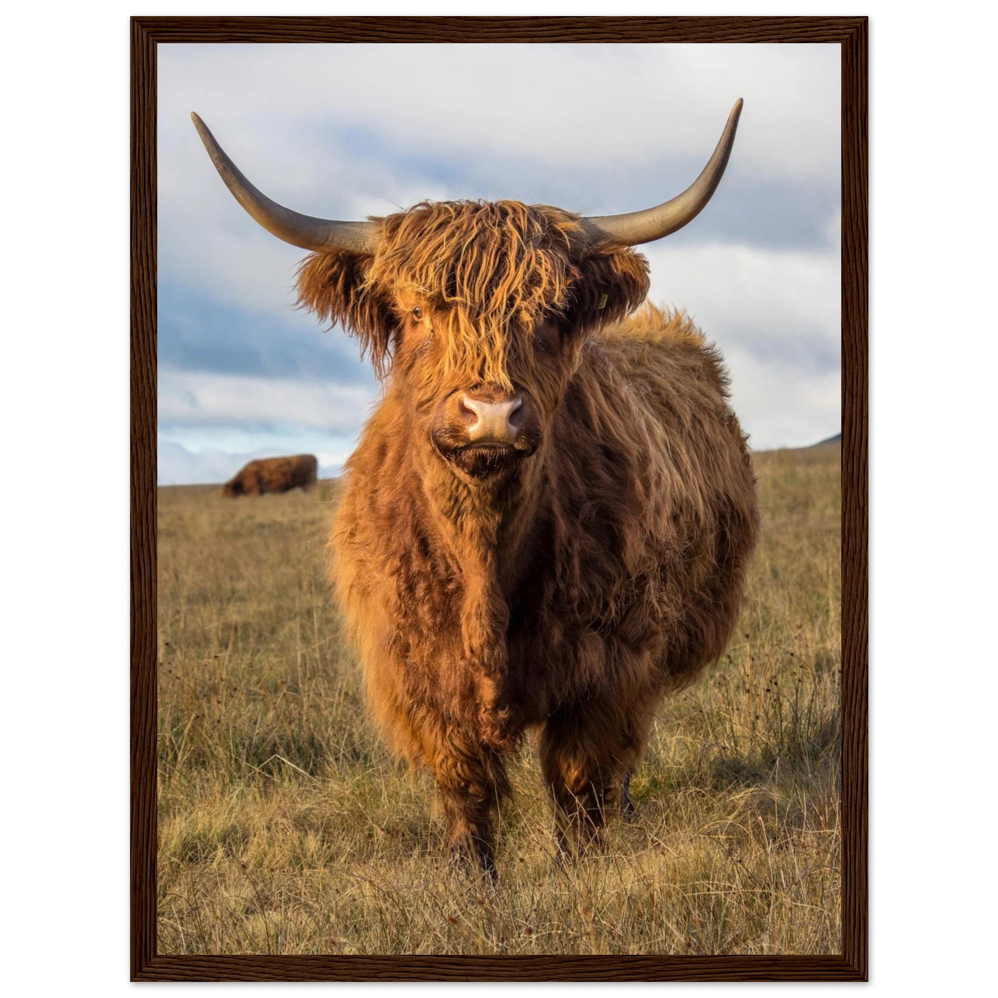 6d2bae2d-ea19-4dd8-a9e2-e3b504dfe529