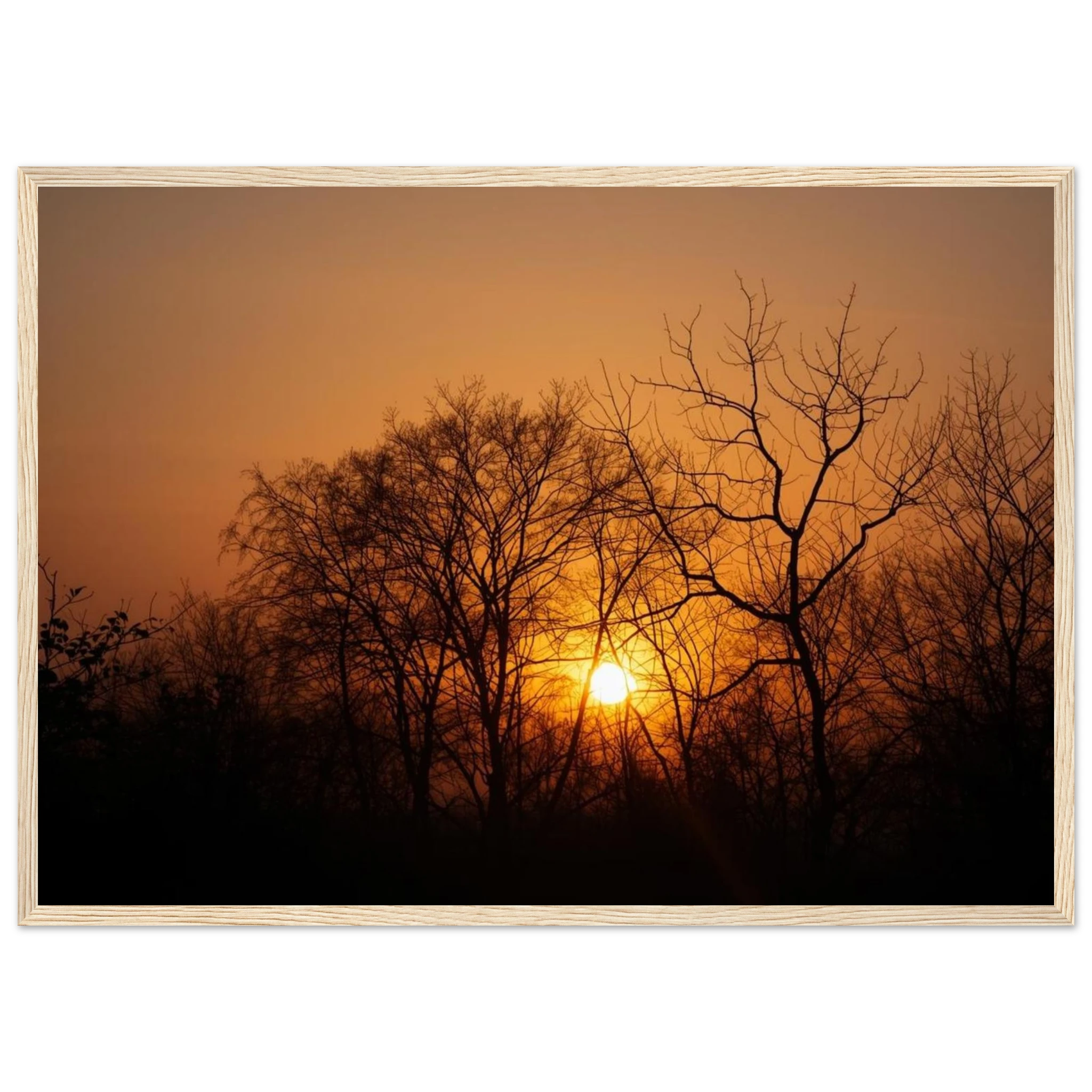 6d3a3d55-65b8-42c5-8eaf-f9c04f542d3c