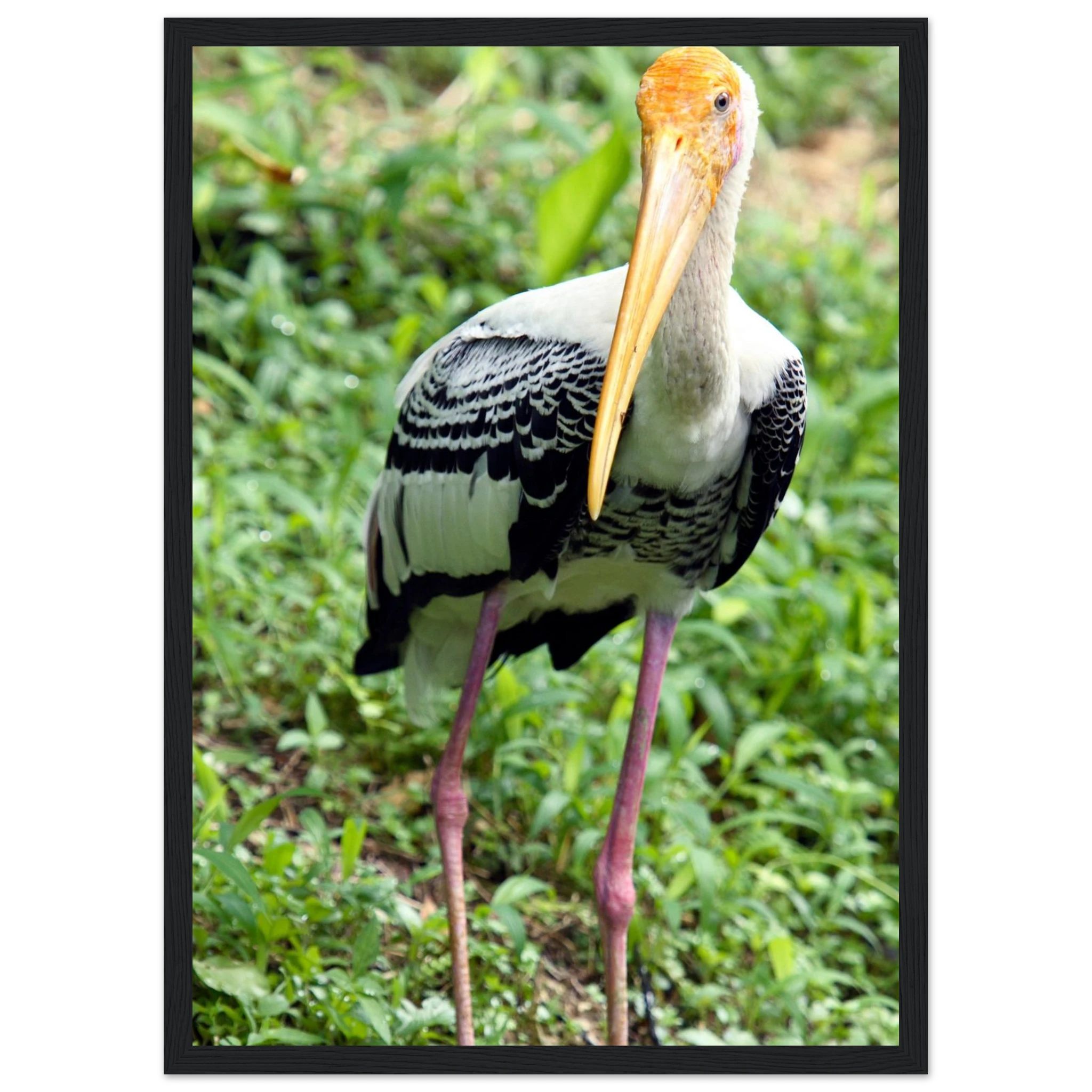 6d40381f-400c-45ed-bafe-9a19aa6c0fa8