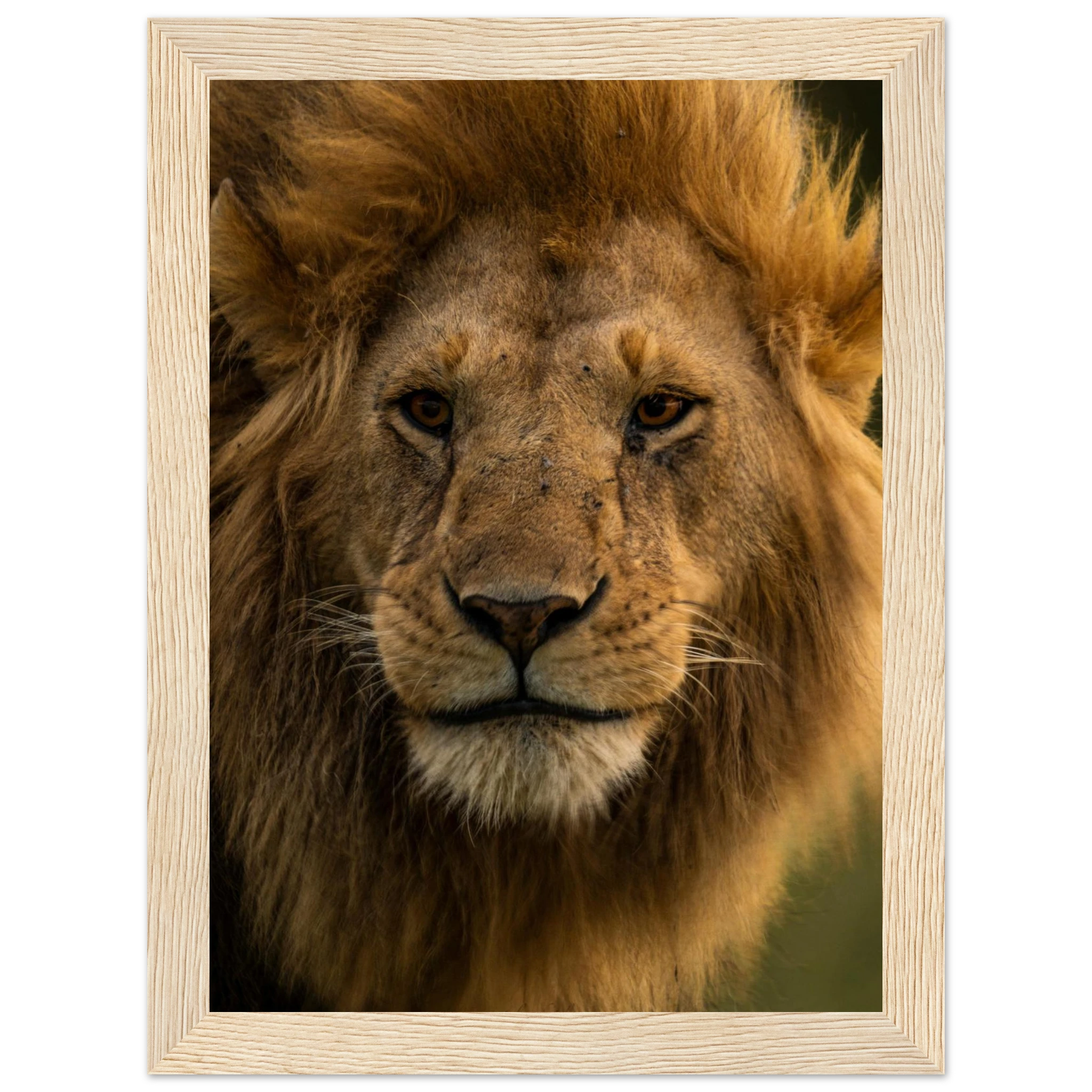 6d6e335b-5d63-4f18-8b92-a95bf1cbc96d