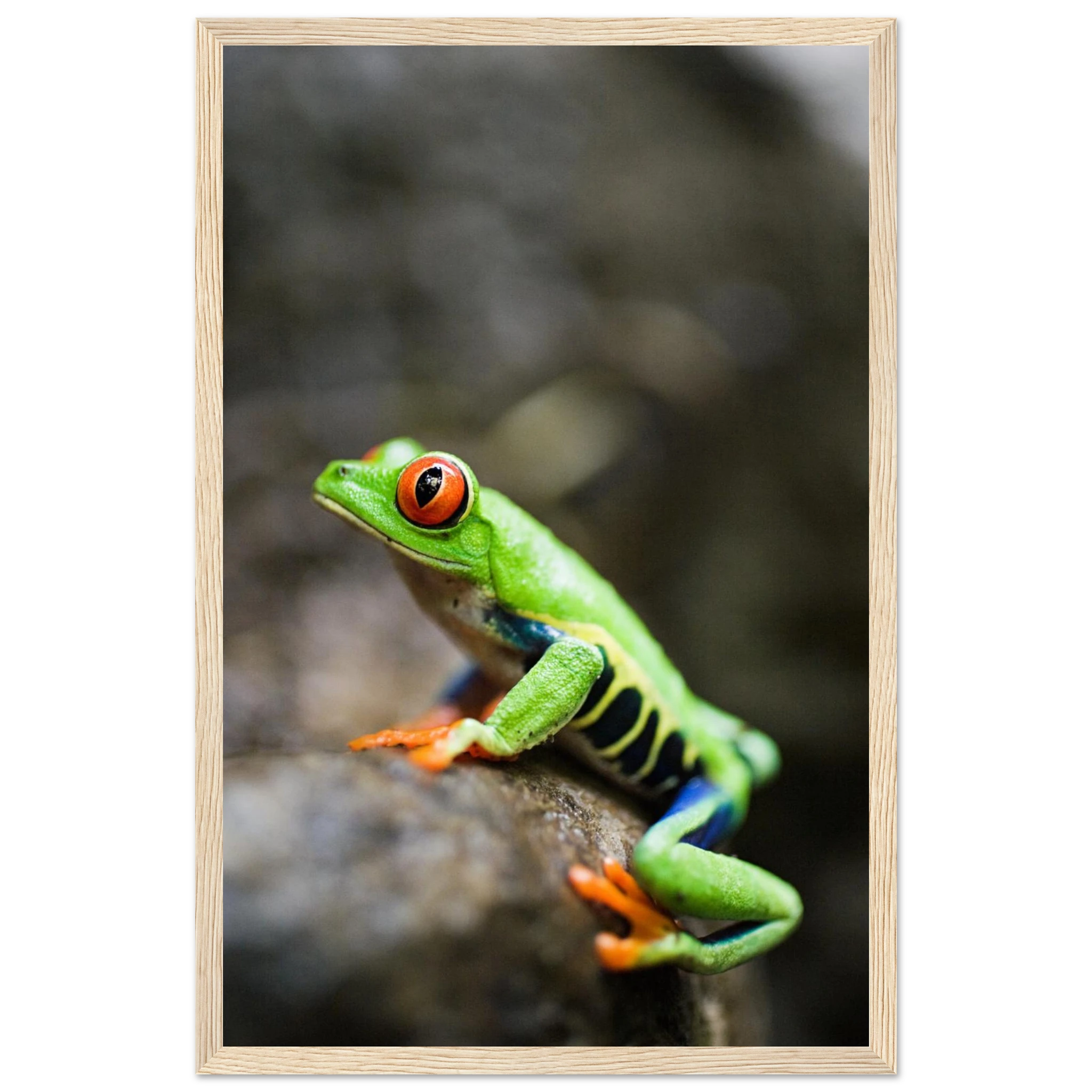 6d8704c1-937f-4975-b276-ffac1d8058d0