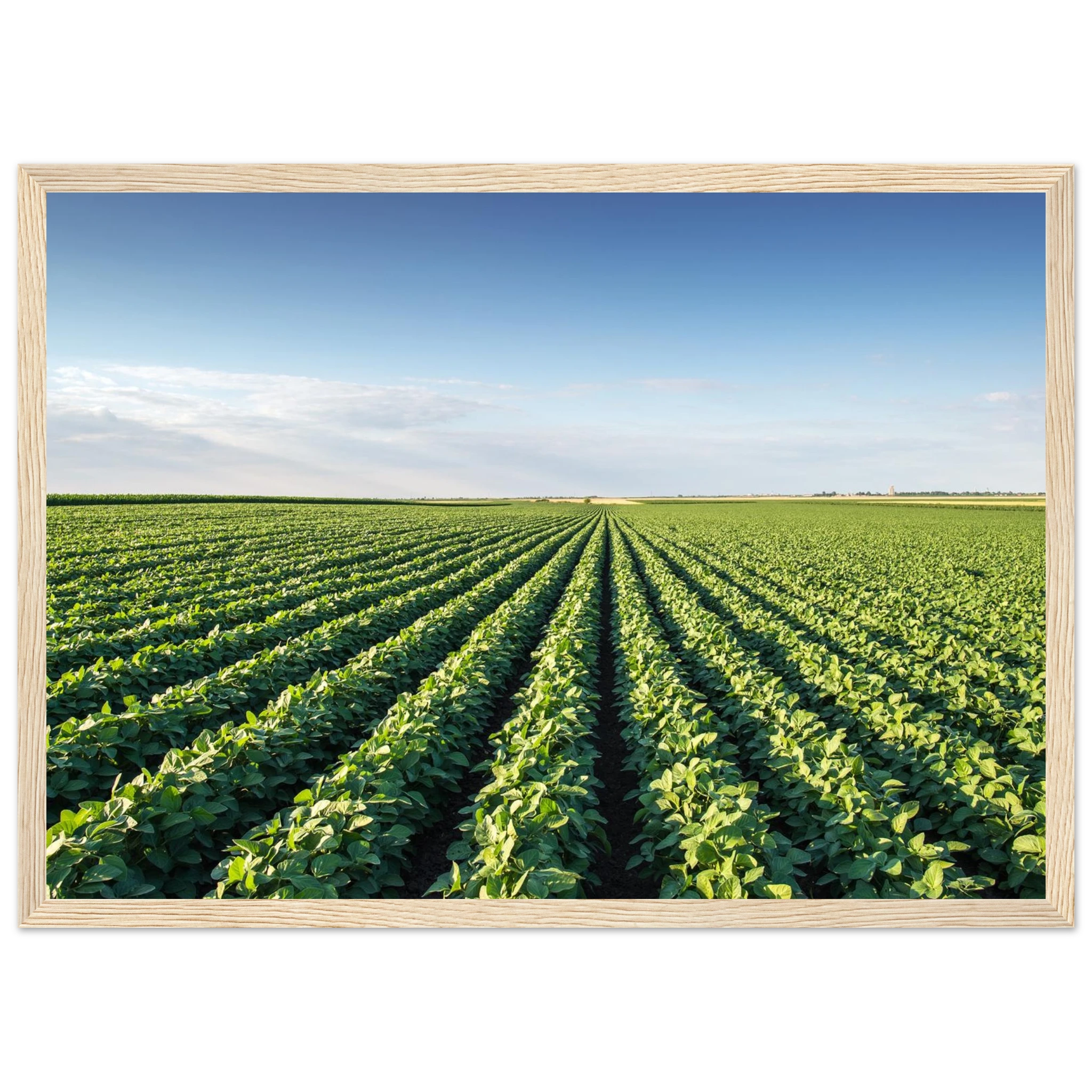 6d9ca92a-1694-4cd5-8594-ef965da0ebcc