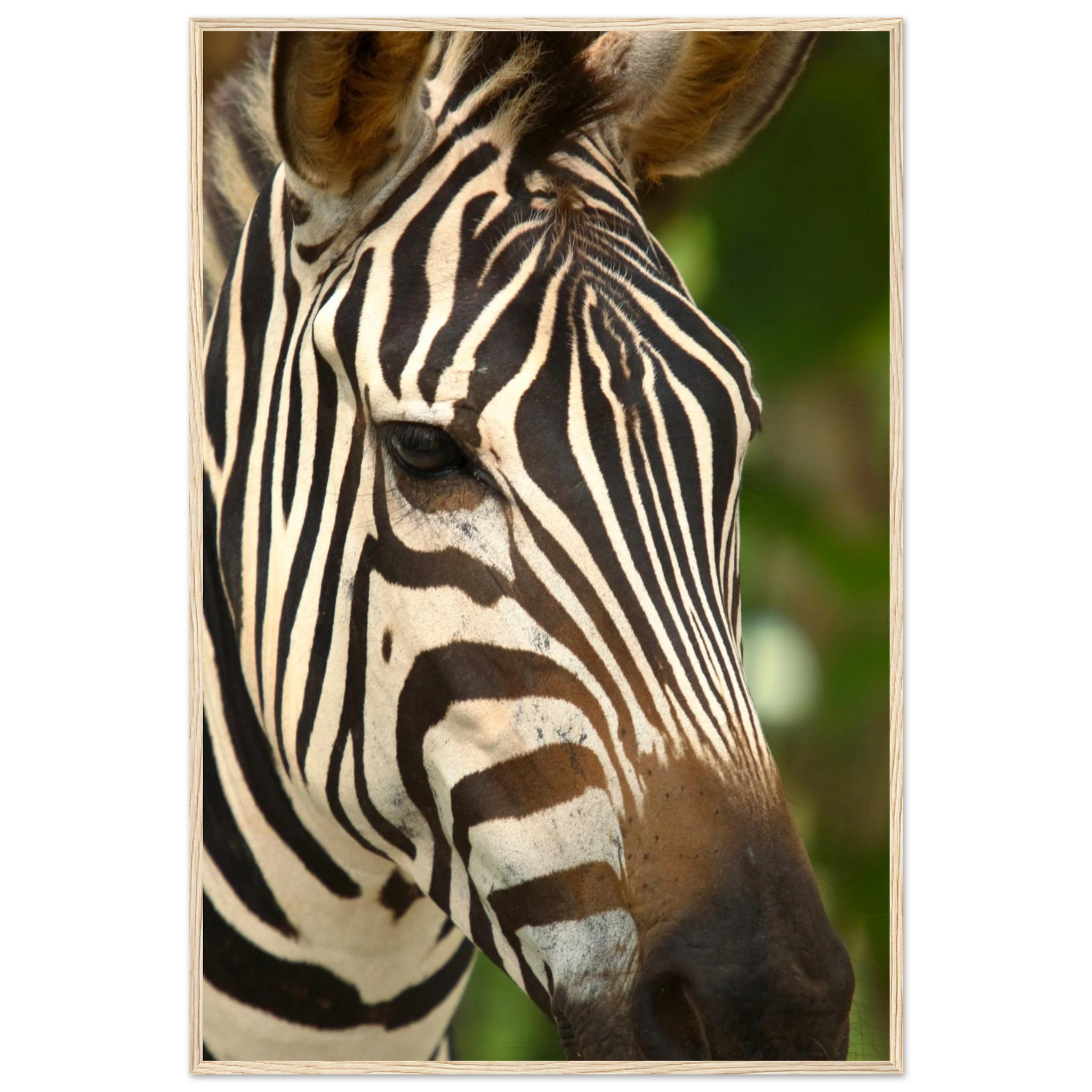 6da188cf-75e5-465e-81a7-51b846c0367a