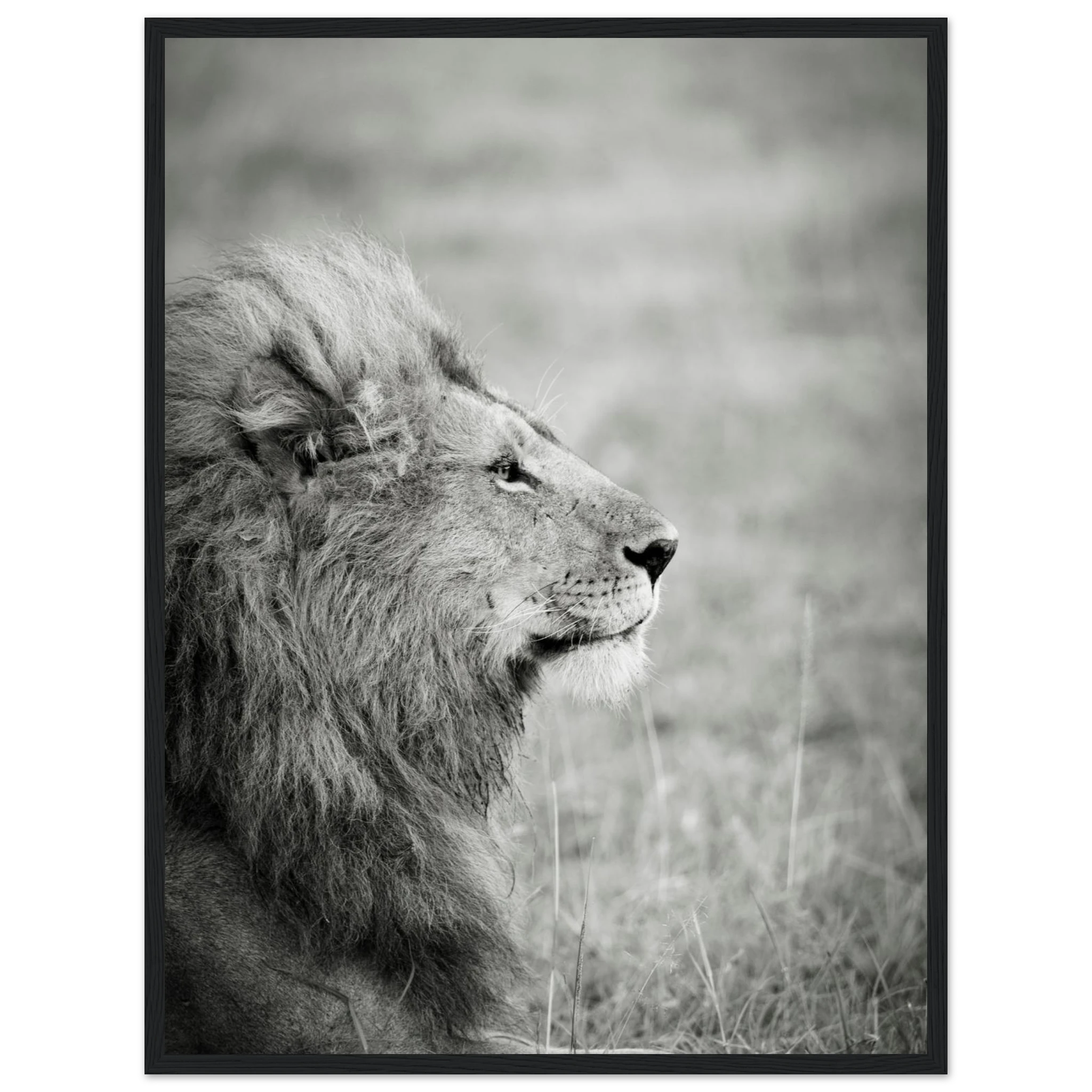 6daf95e4-ad46-4a06-80af-1be80092d7b6