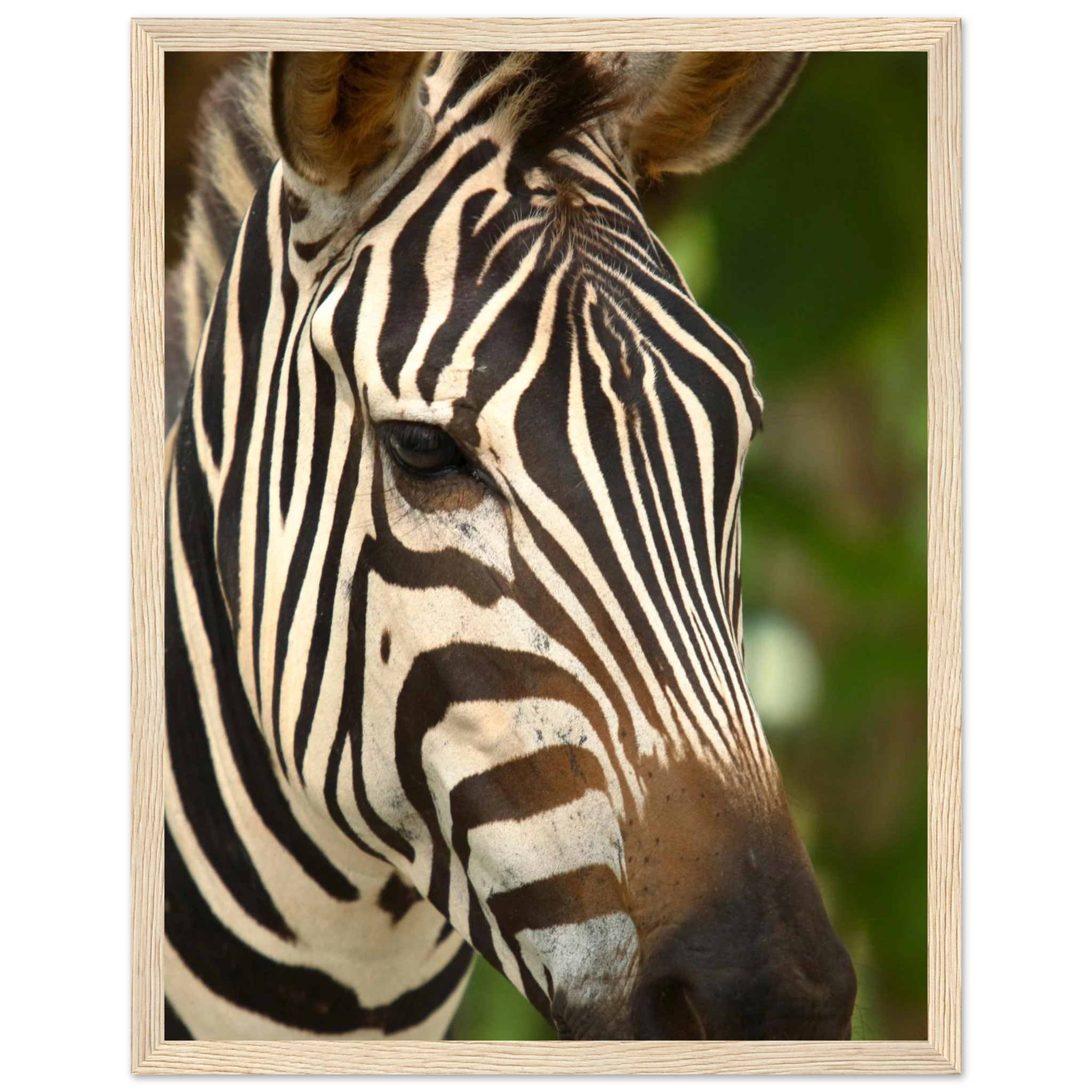 6dc1d981-6f5c-4f71-95b7-0a4d746a8ceb