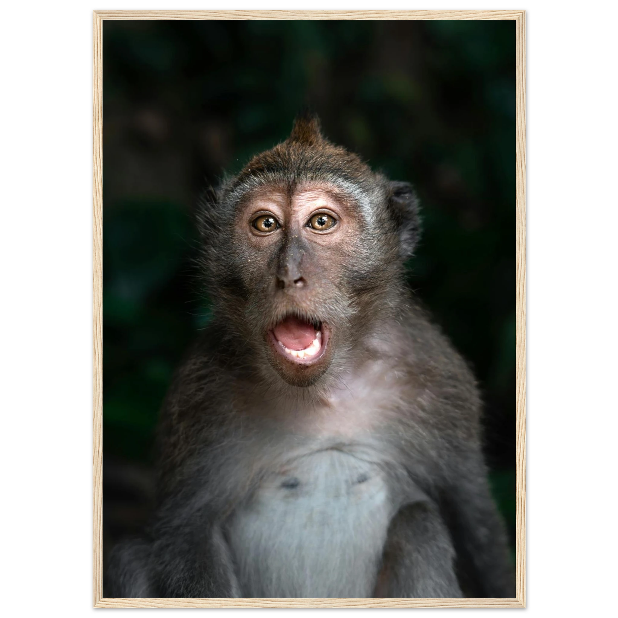 6dc49ebf-ac4a-4ffe-9b78-d0397a101e48