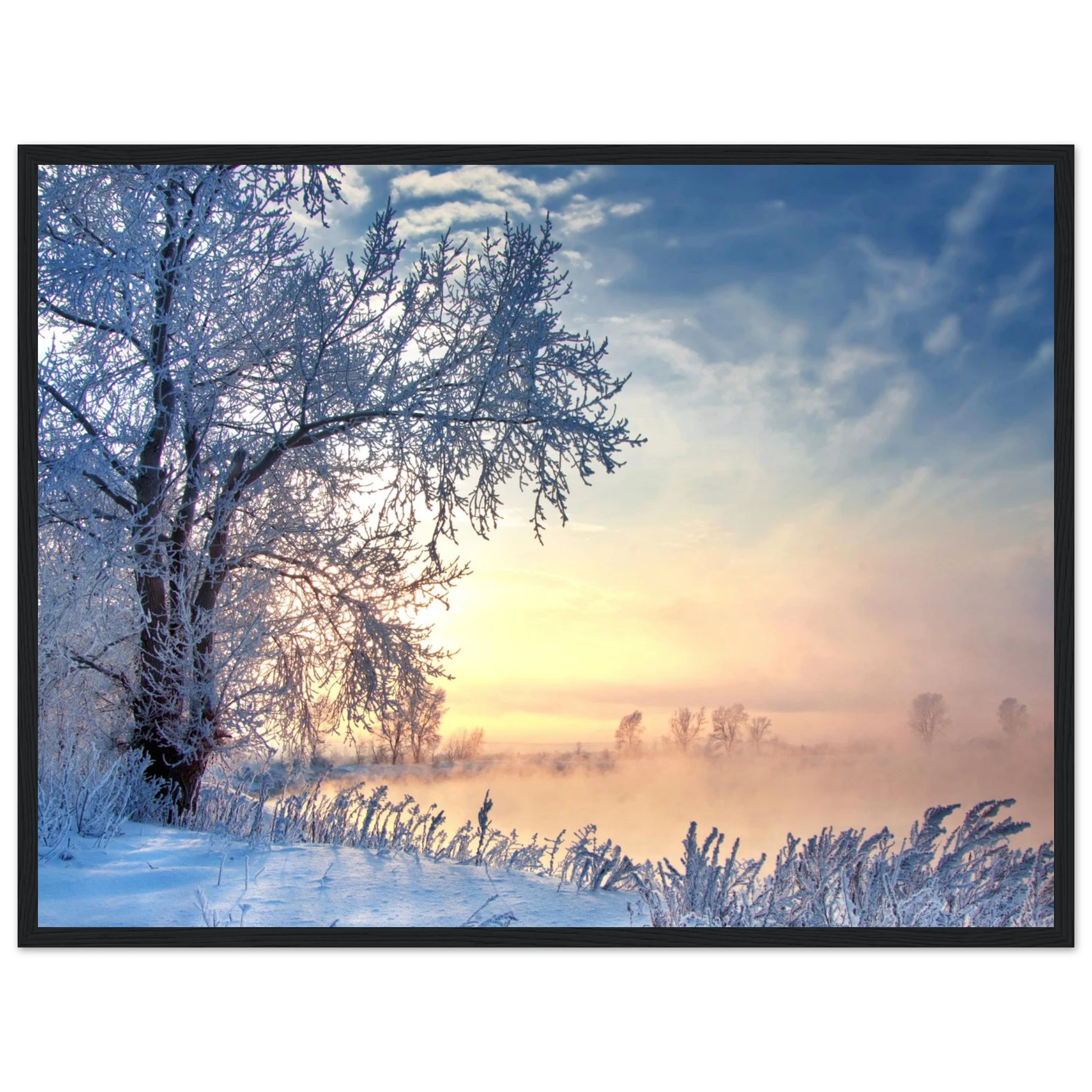 6dc55392-edd2-4ef5-b9e6-cb05d8172bd9