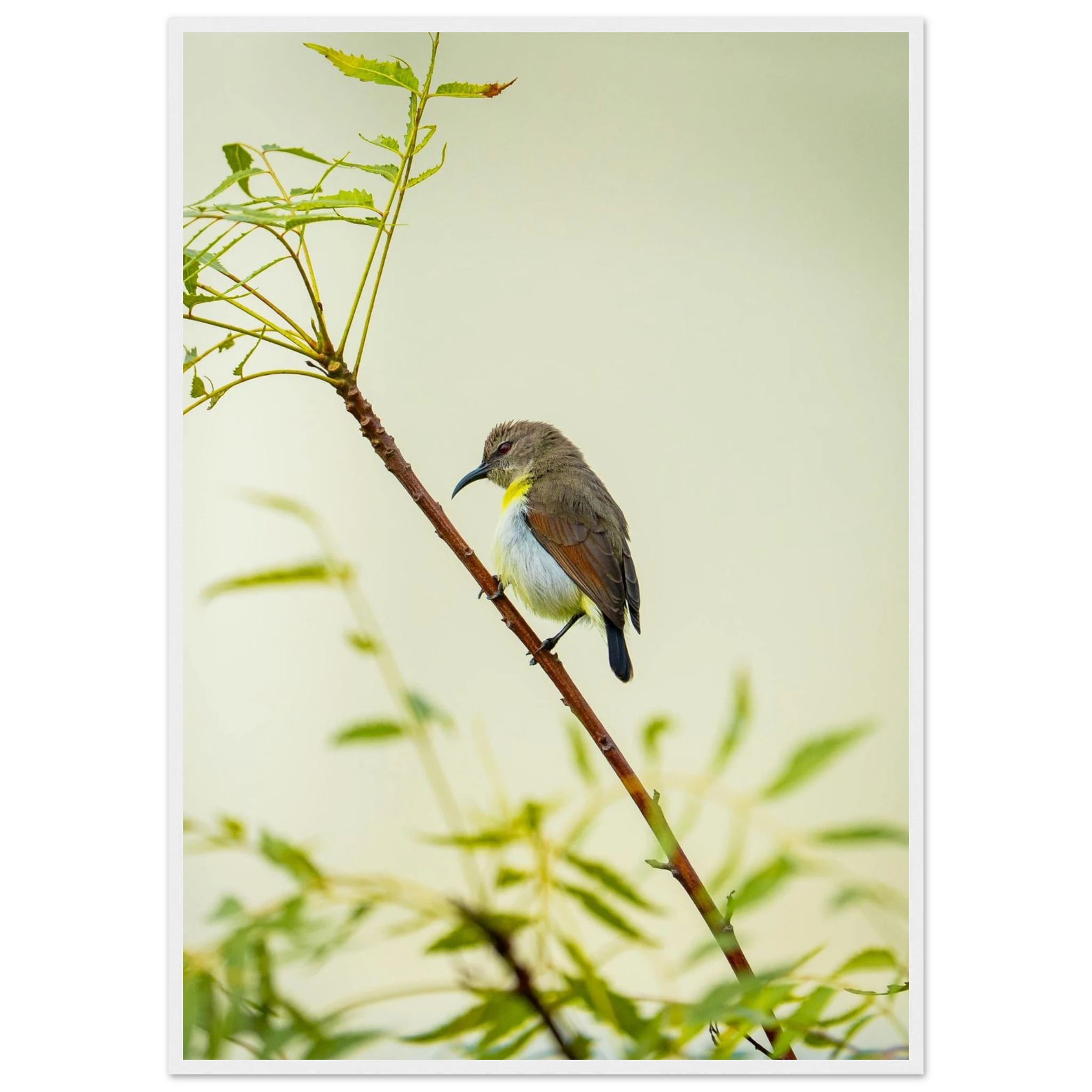 6dd77a0d-cf2b-4961-abcb-d1aa0e0b1d56