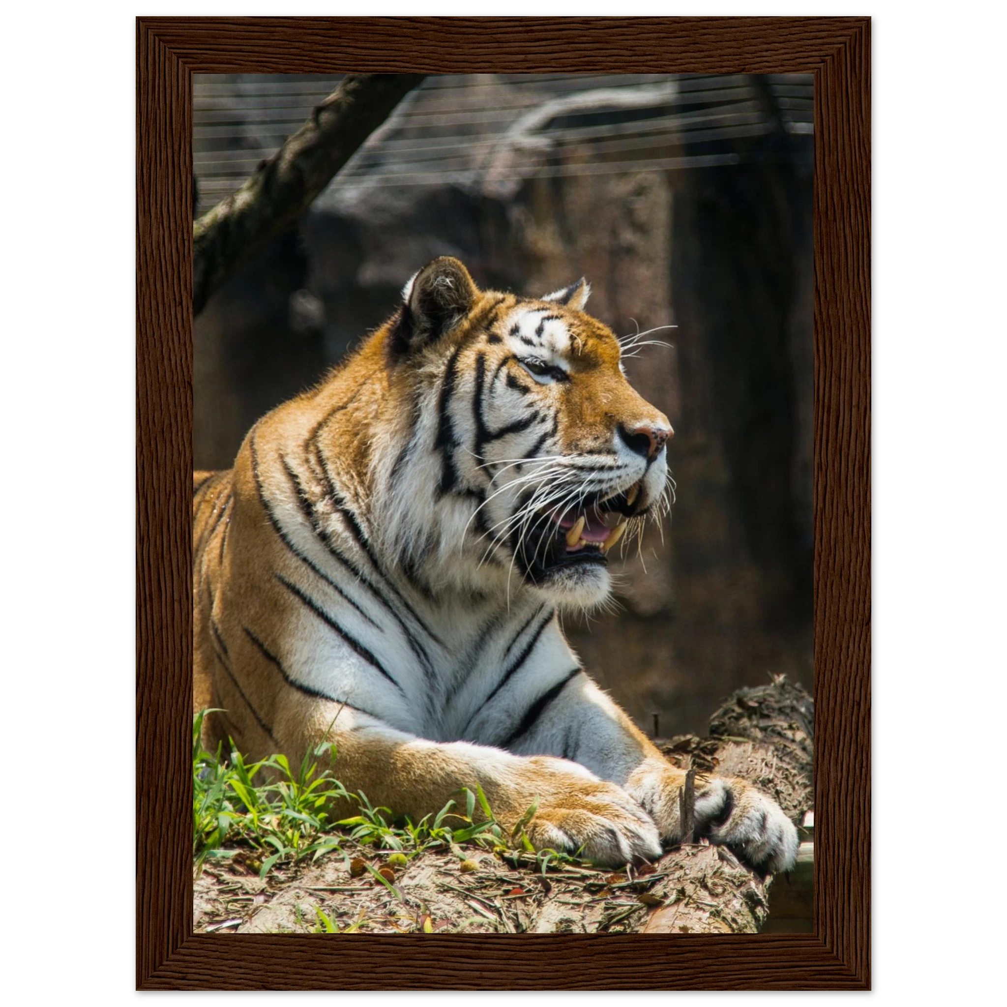 6dda6cf0-6701-44e8-bb9d-139d711703d2