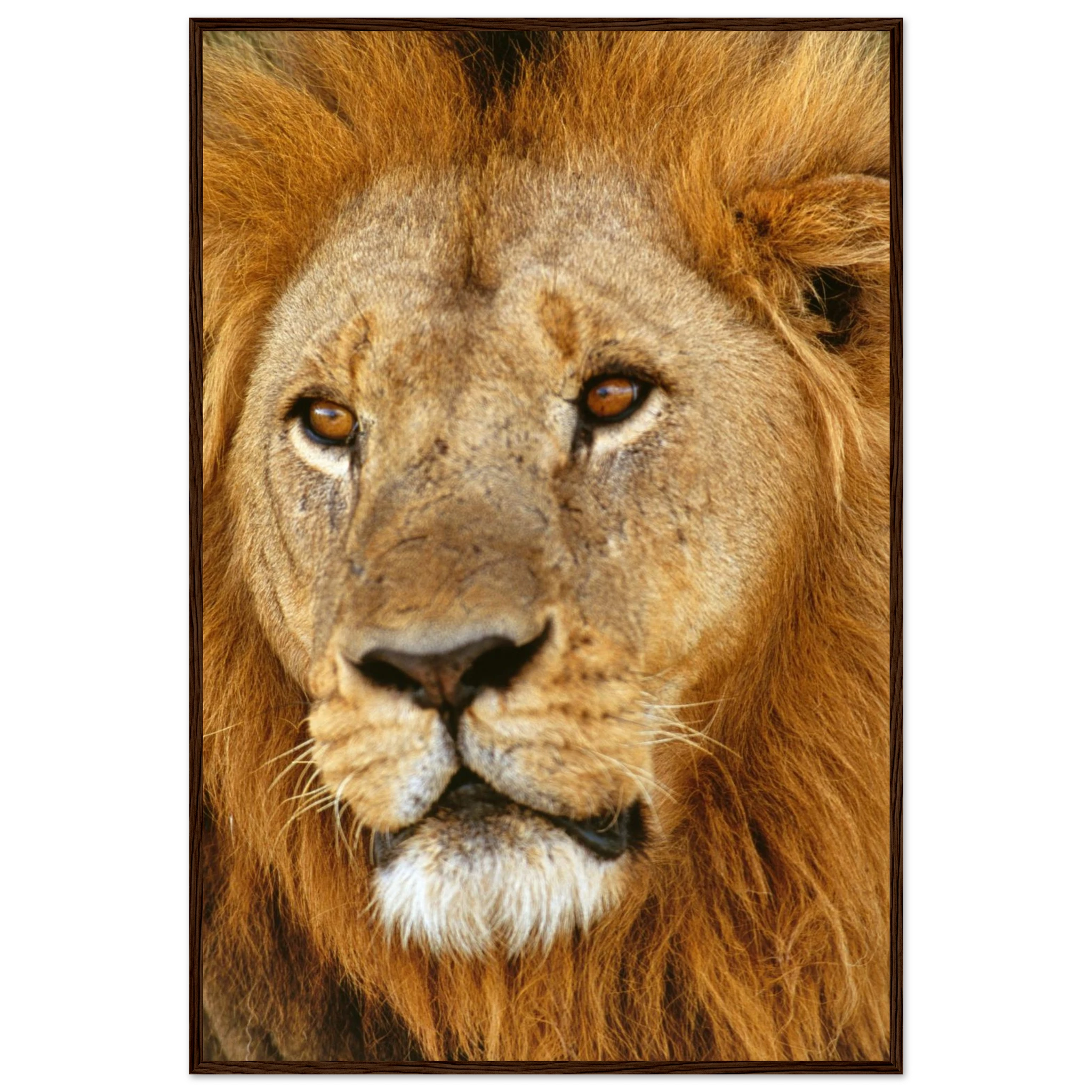 6de33c49-3316-4f1a-acd7-0e6948d24318