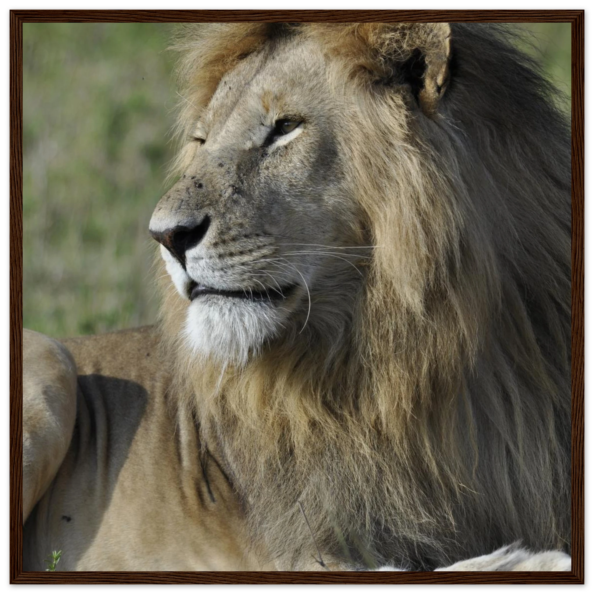 6deb27ca-de20-42d9-ad70-4676e7afcef9