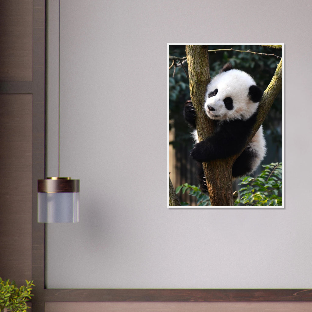 6e669712-5bf6-41d1-90db-2384f84c6910