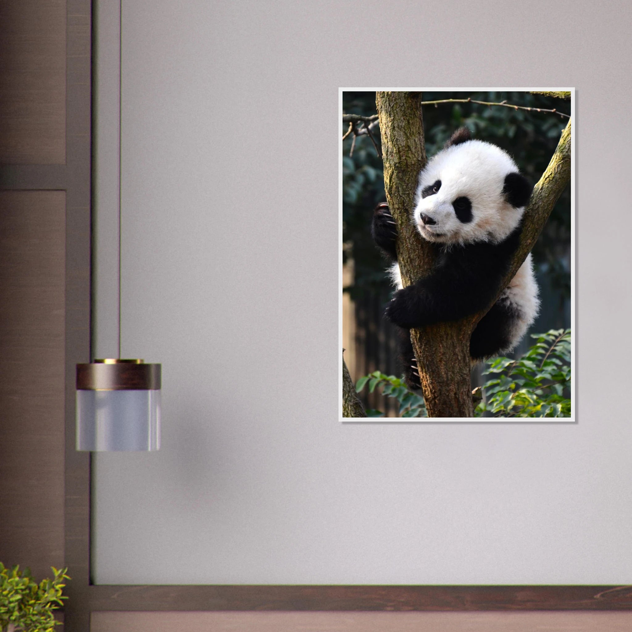 6e669712-5bf6-41d1-90db-2384f84c6910