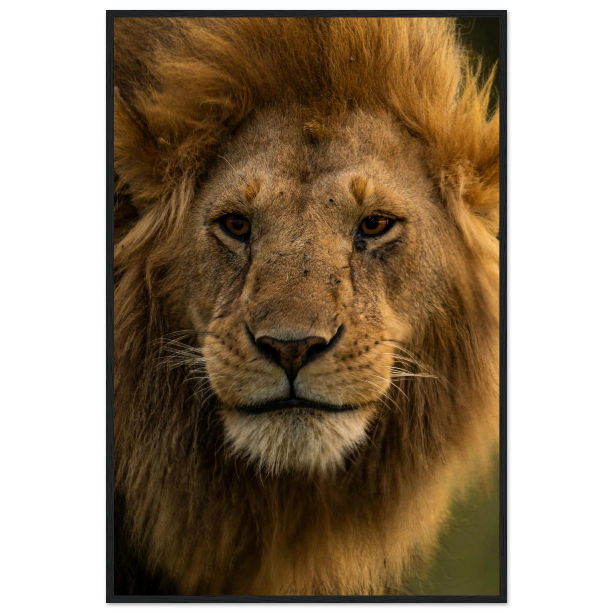 6e71bbbc-ae16-4104-9ae7-1748ed57d8a0