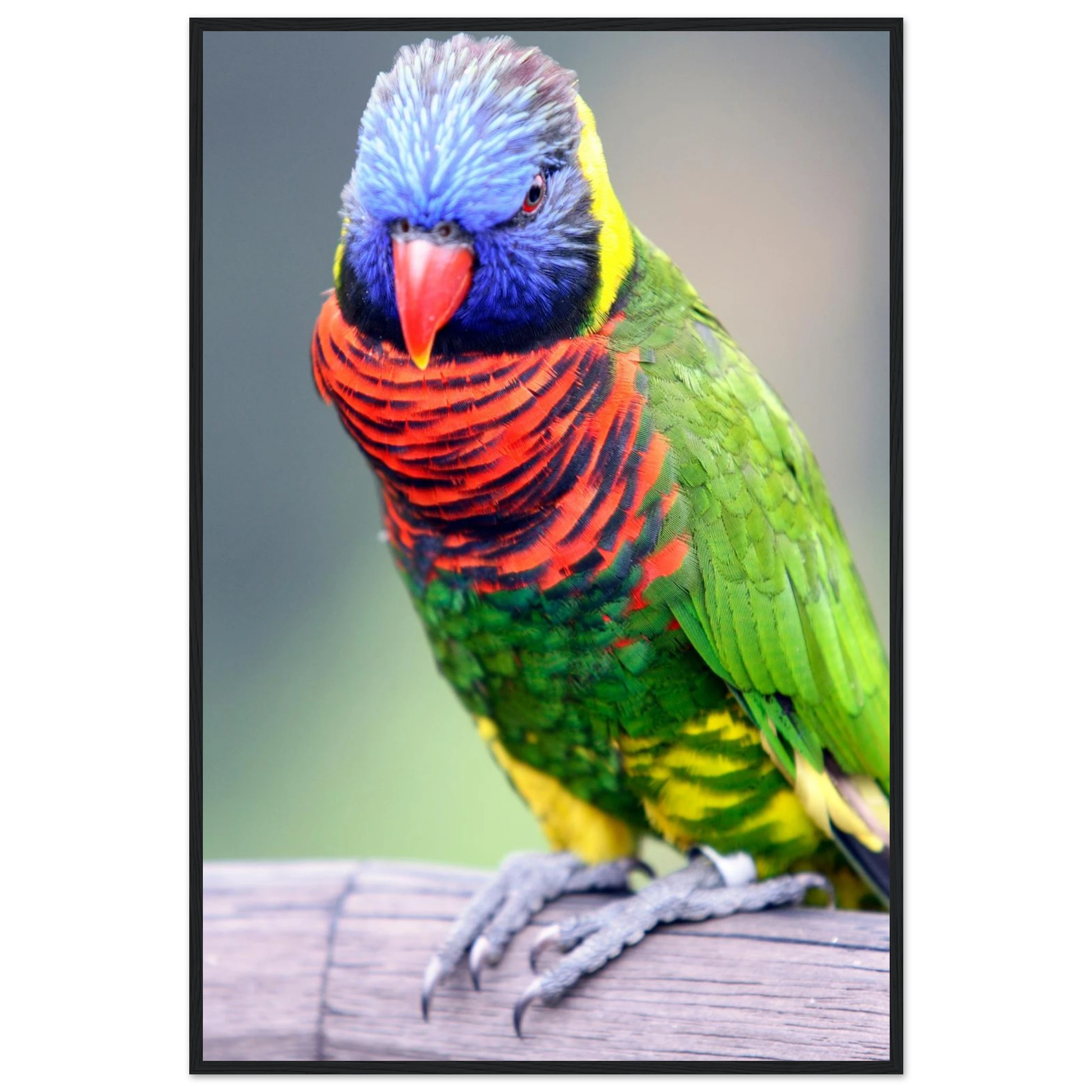 6e91b3a5-0032-4d81-bbd4-3dcebd0448c0