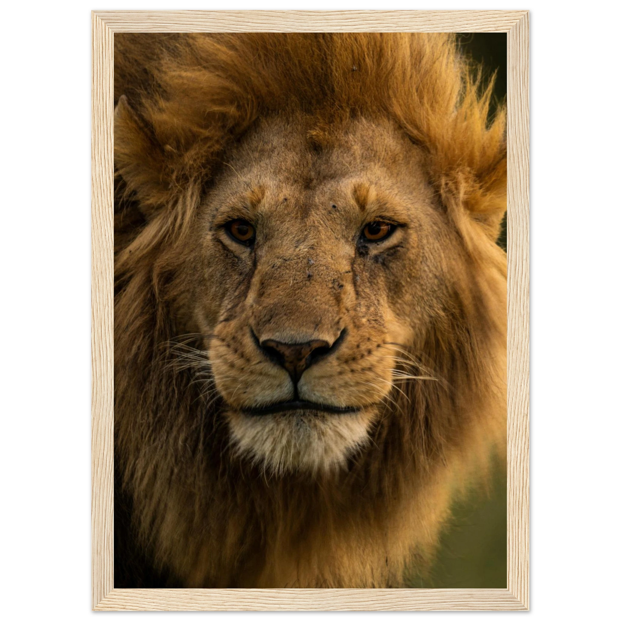 6ea7bd0f-4aa5-4ed6-979c-fbe20b2e0def