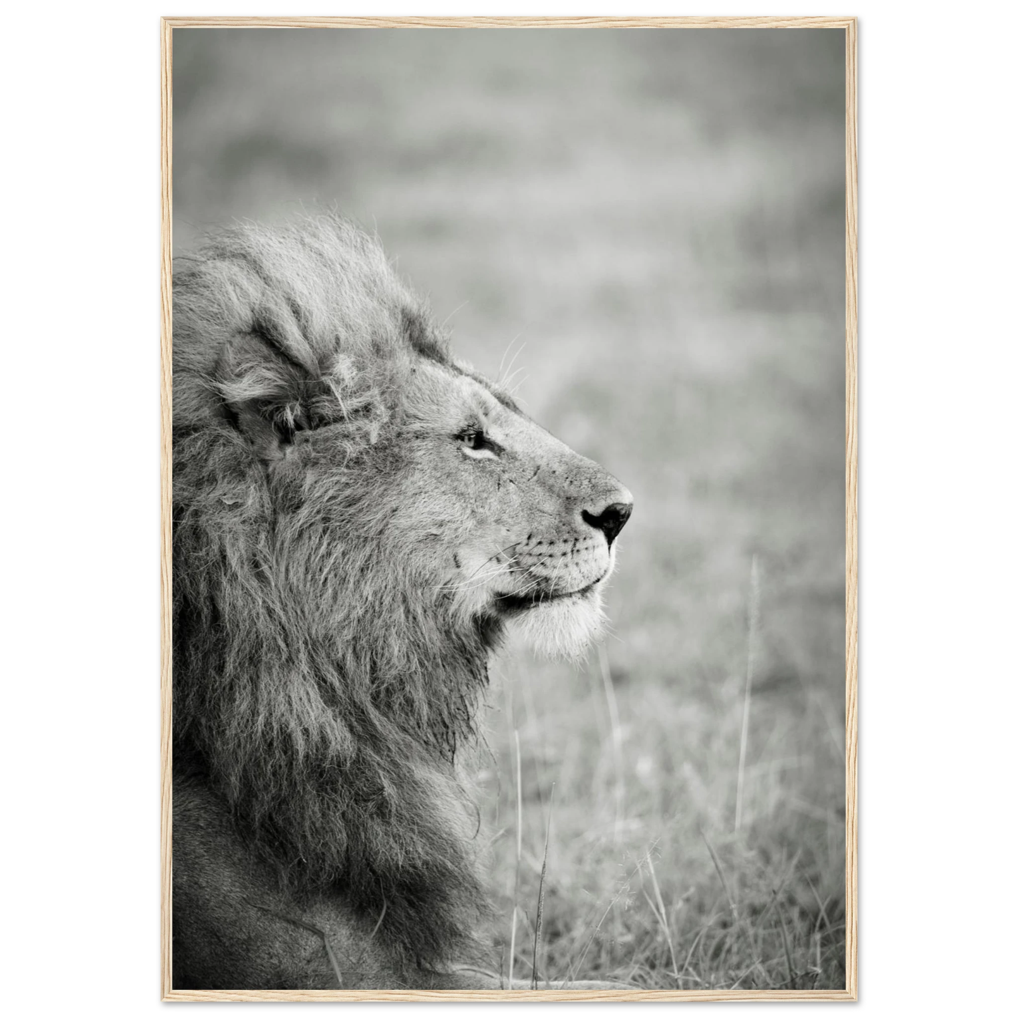 6ecd71ff-b3ca-49fc-8194-eec41b9f1394