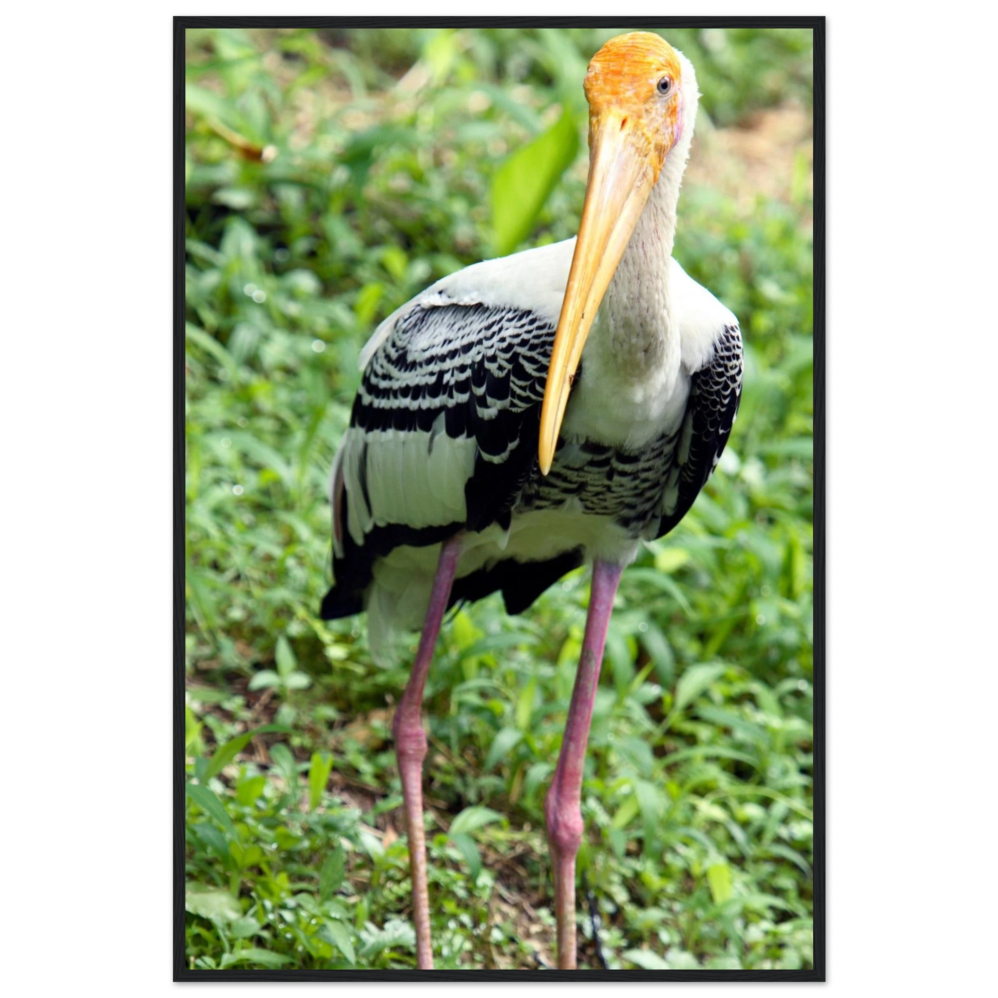 6ef06211-928e-4e51-bf71-253c1255c130